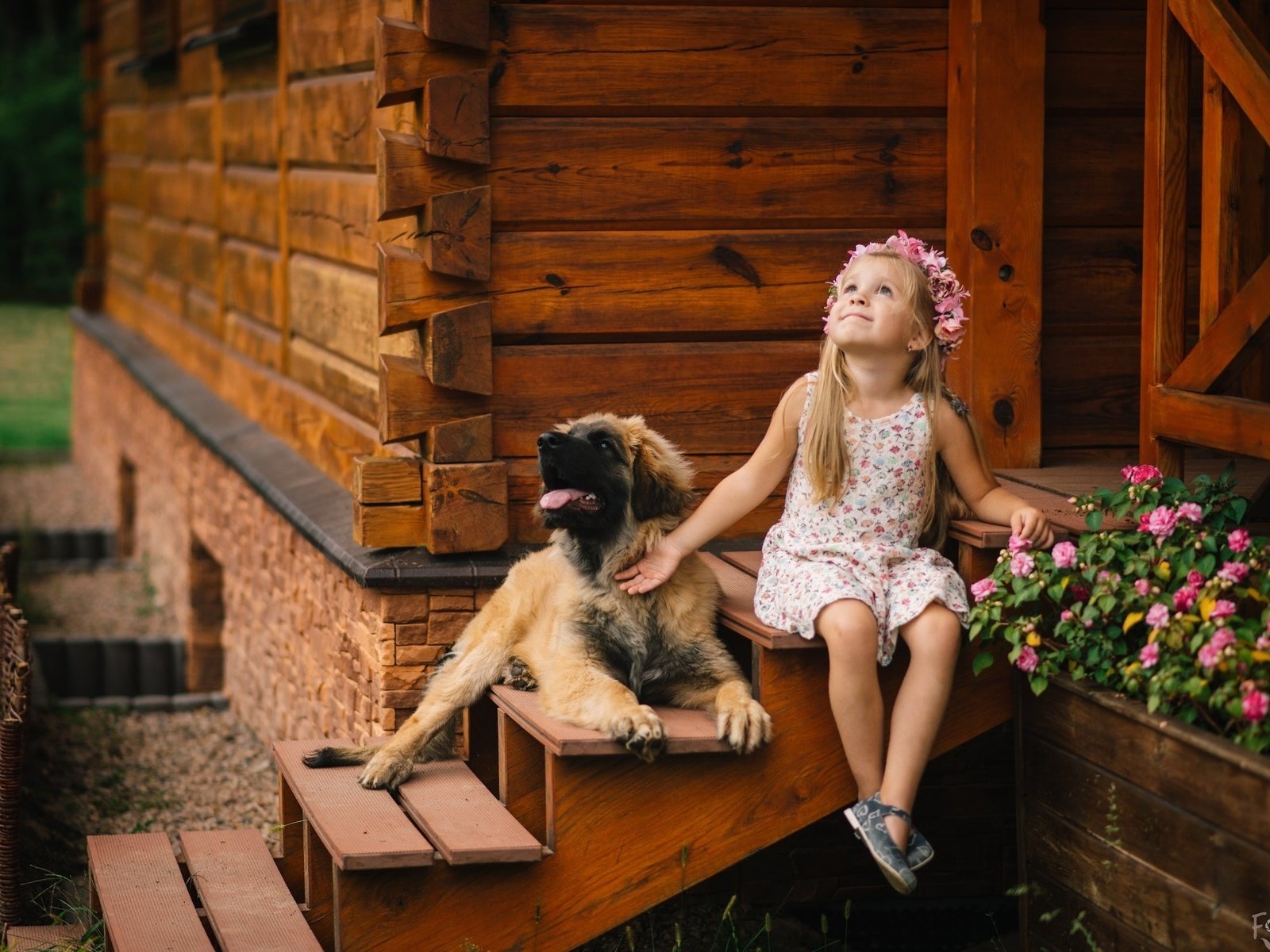 Обои цветы, собака, девочка, дом, ребенок, пес, крыльцо, flowers, dog, girl, house, child, porch разрешение 2048x1367 Загрузить