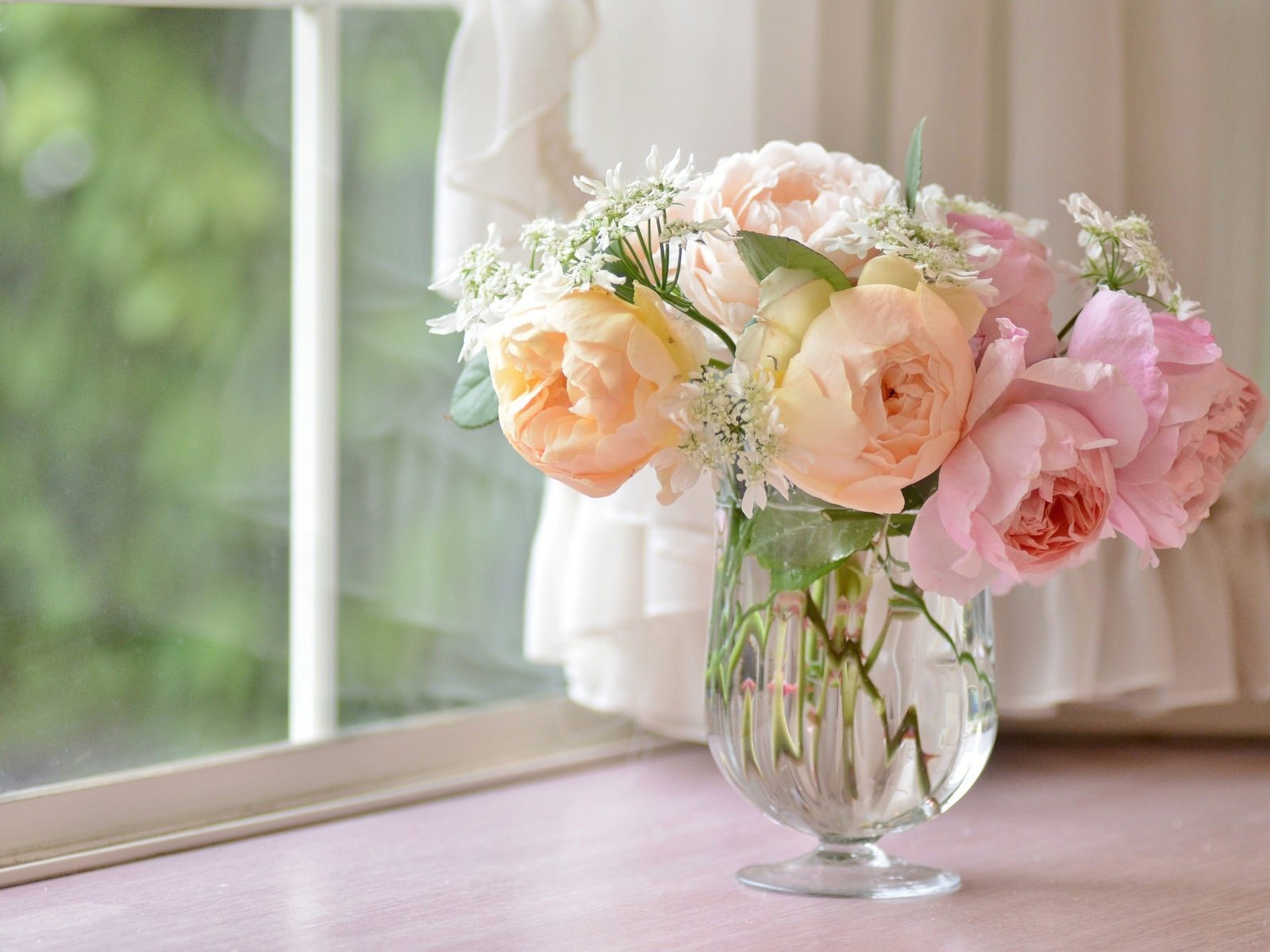 Обои цветы, розы, букет, окно, ваза, подоконник, flowers, roses, bouquet, window, vase, sill разрешение 2048x1356 Загрузить