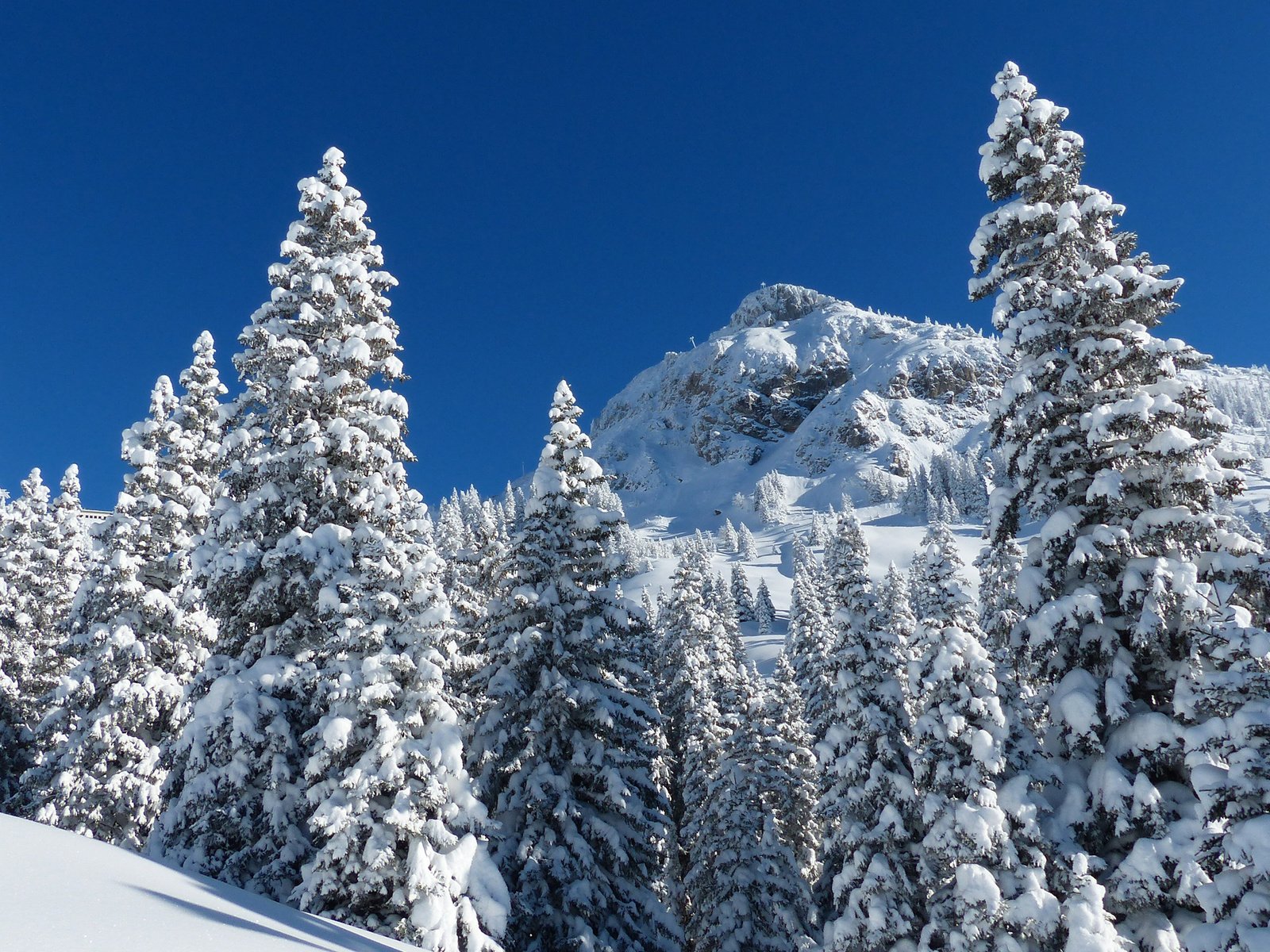 Обои горы, природа, лес, зима, mountains, nature, forest, winter разрешение 2880x1800 Загрузить