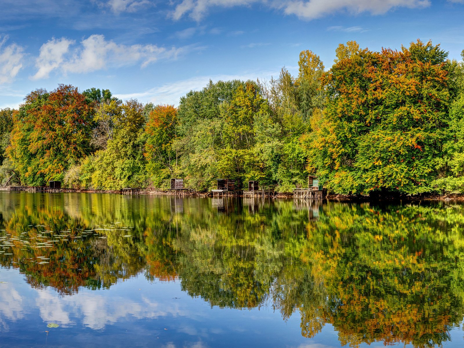 Обои небо, облака, деревья, река, природа, лес, отражение, the sky, clouds, trees, river, nature, forest, reflection разрешение 2880x1800 Загрузить