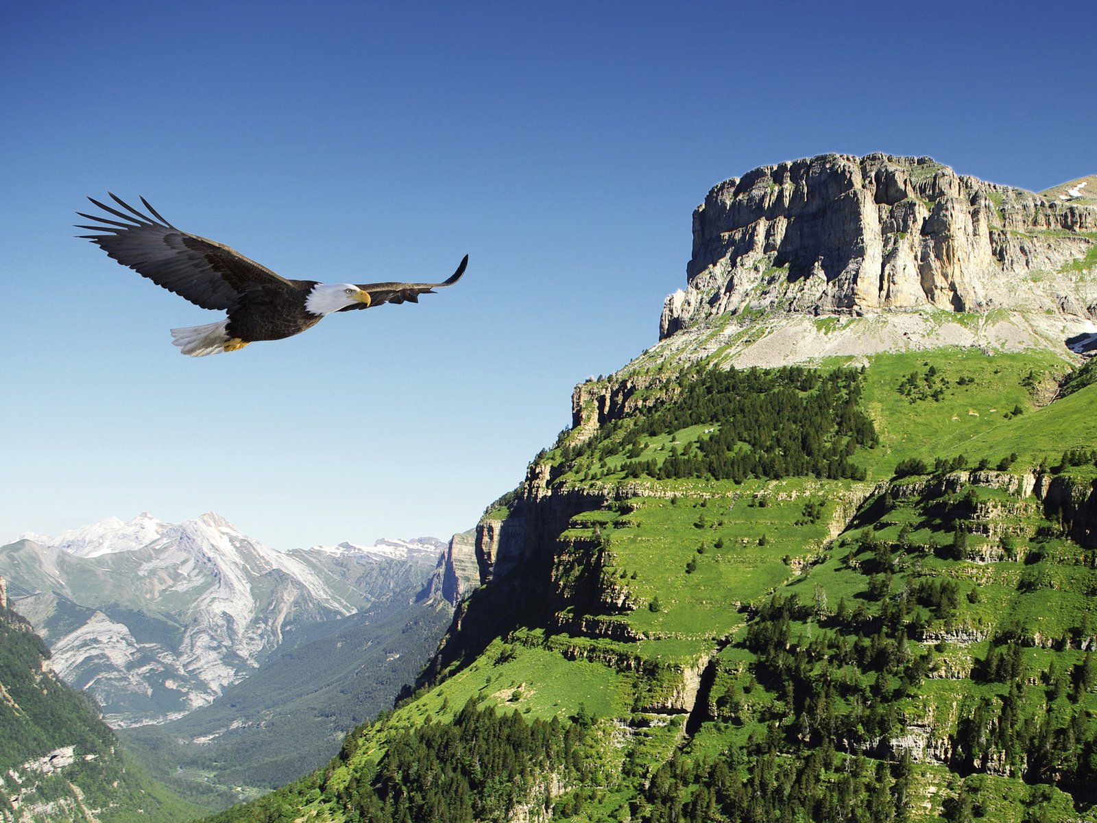 Обои горы, полет, орел, птица, долина, испания, белоголовый орлан, mountains, flight, eagle, bird, valley, spain, bald eagle разрешение 2880x1800 Загрузить