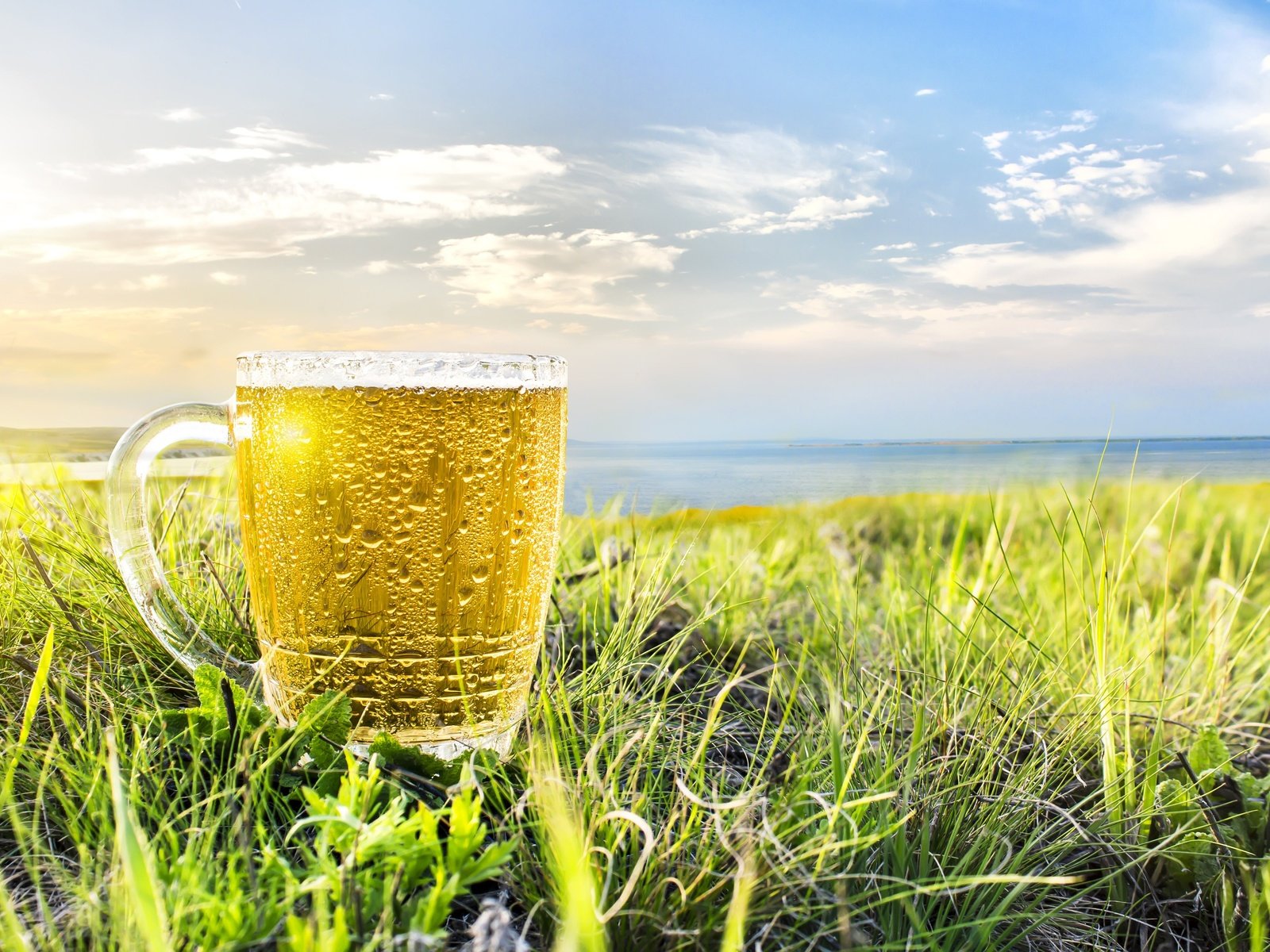 Обои небо, природа, поле, горизонт, капли, кружка, колоски, пиво, the sky, nature, field, horizon, drops, mug, spikelets, beer разрешение 4500x3000 Загрузить