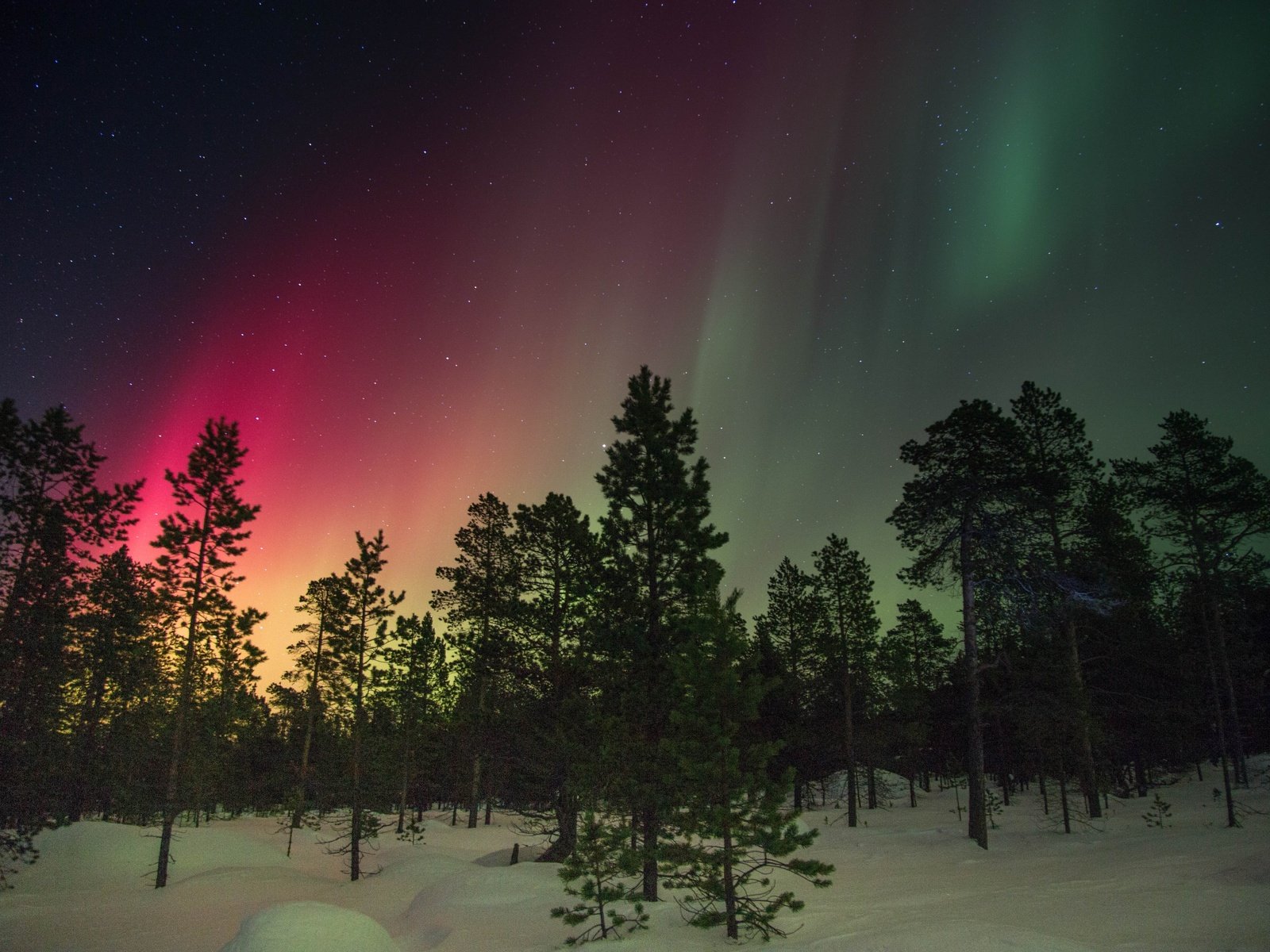 Обои деревья, снег, зима, свечение, северное сияние, финляндия, trees, snow, winter, glow, northern lights, finland разрешение 5472x3648 Загрузить