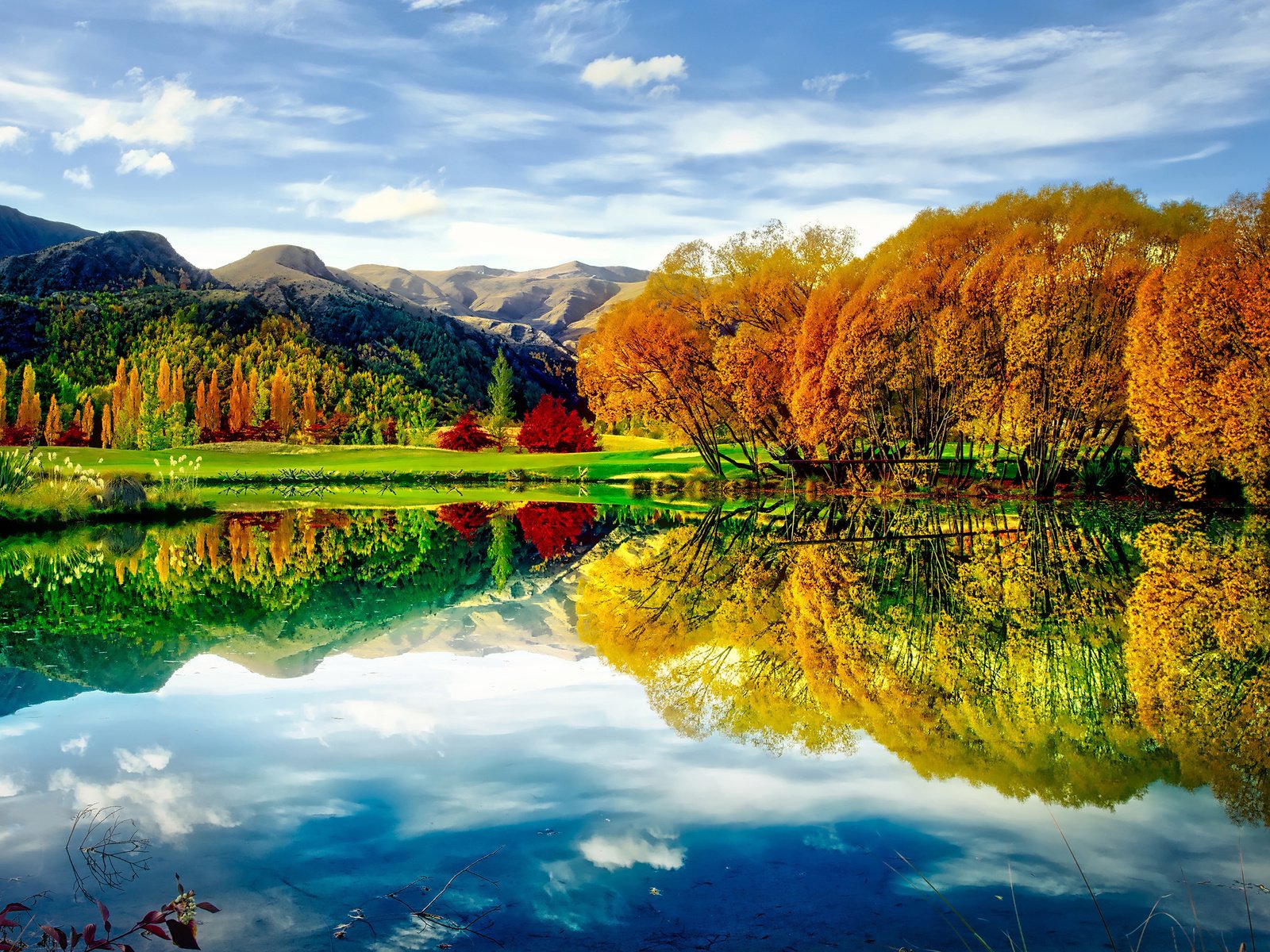Природа новой Зеландии река осень