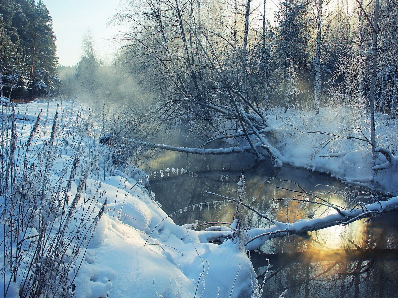 Обои река, снег, дерево, зима, пейзаж, утро, иней, берега, river, snow, tree, winter, landscape, morning, frost, bank разрешение 1920x1279 Загрузить