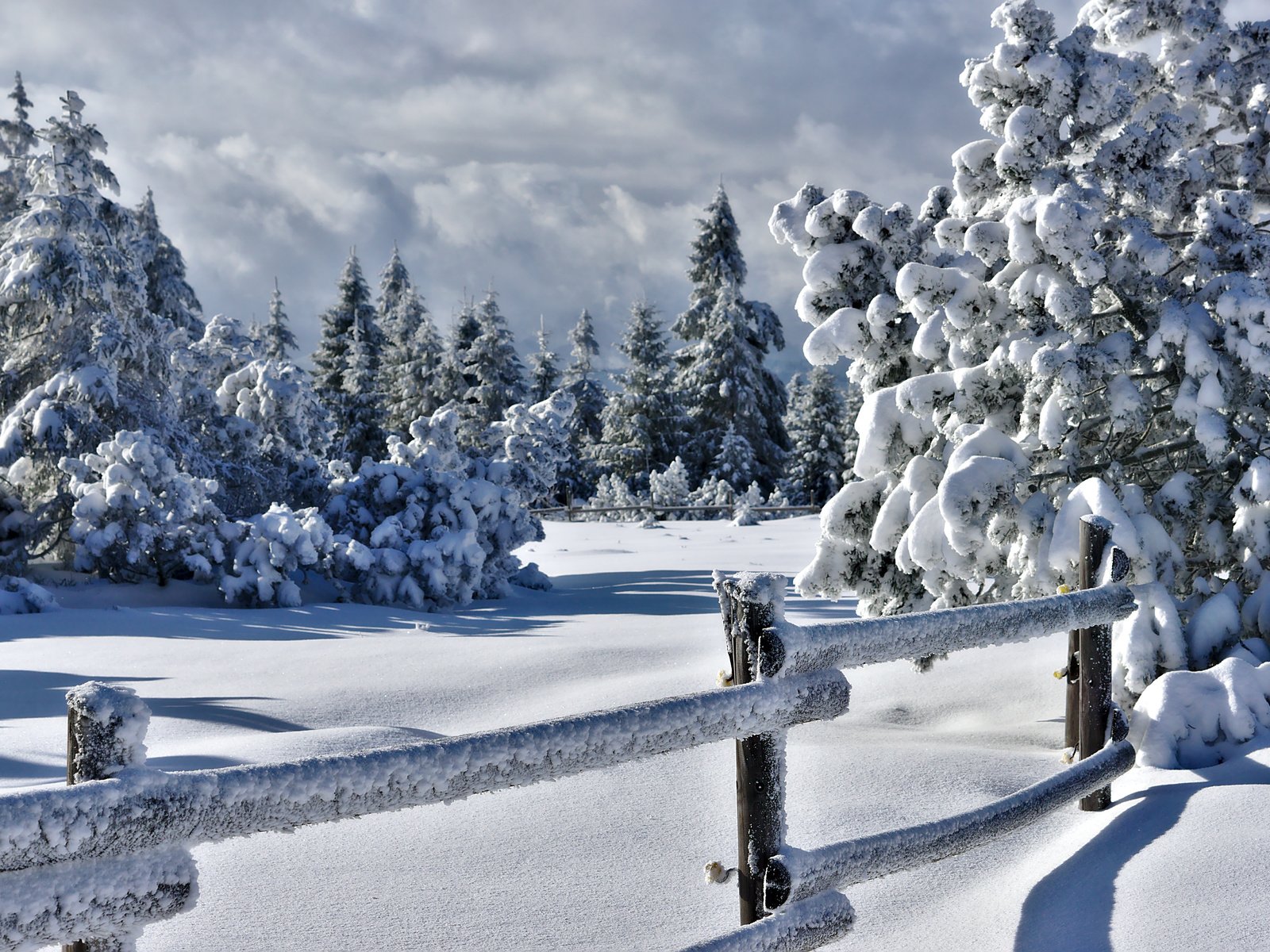 Обои деревья, снег, природа, зима, забор, изгородь, trees, snow, nature, winter, the fence, fence разрешение 5721x3825 Загрузить