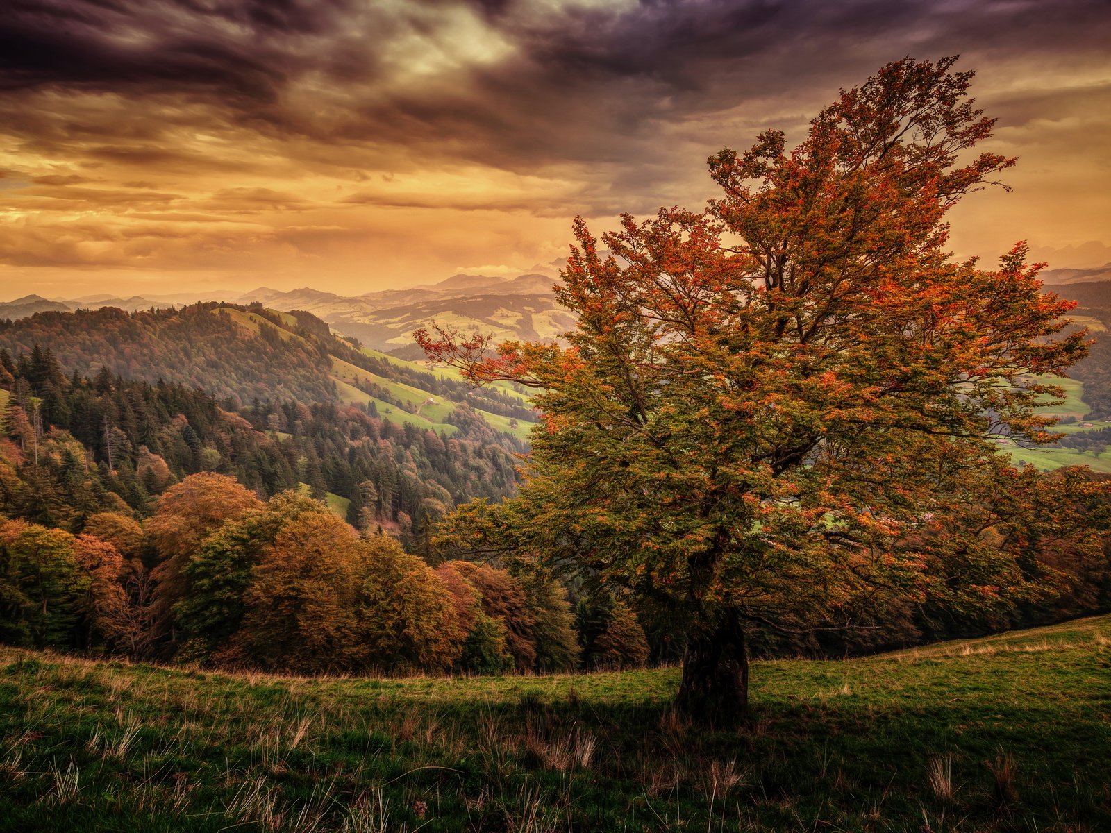 Обои небо, горы, природа, осень, швейцария,     деревья, the sky, mountains, nature, autumn, switzerland, trees разрешение 5616x3744 Загрузить