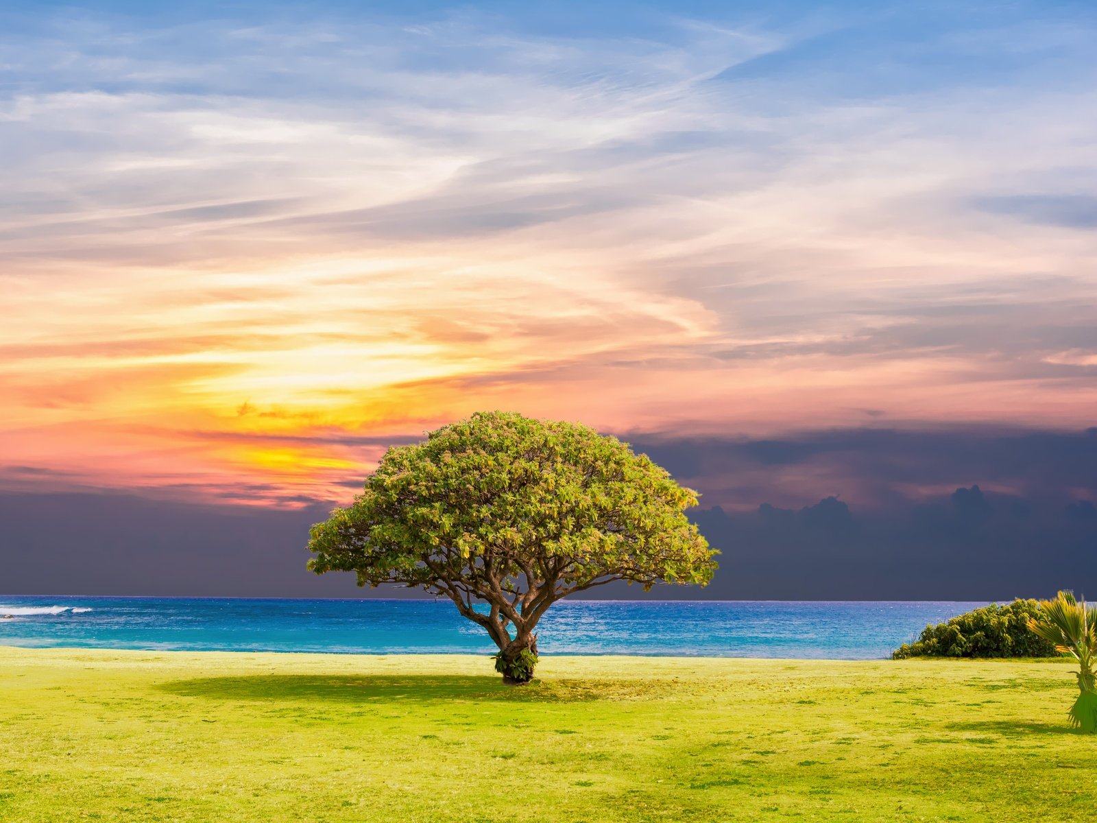 Обои природа, дерево, закат, пейзаж, море, горизонт,     дерево, nature, tree, sunset, landscape, sea, horizon разрешение 5232x3744 Загрузить