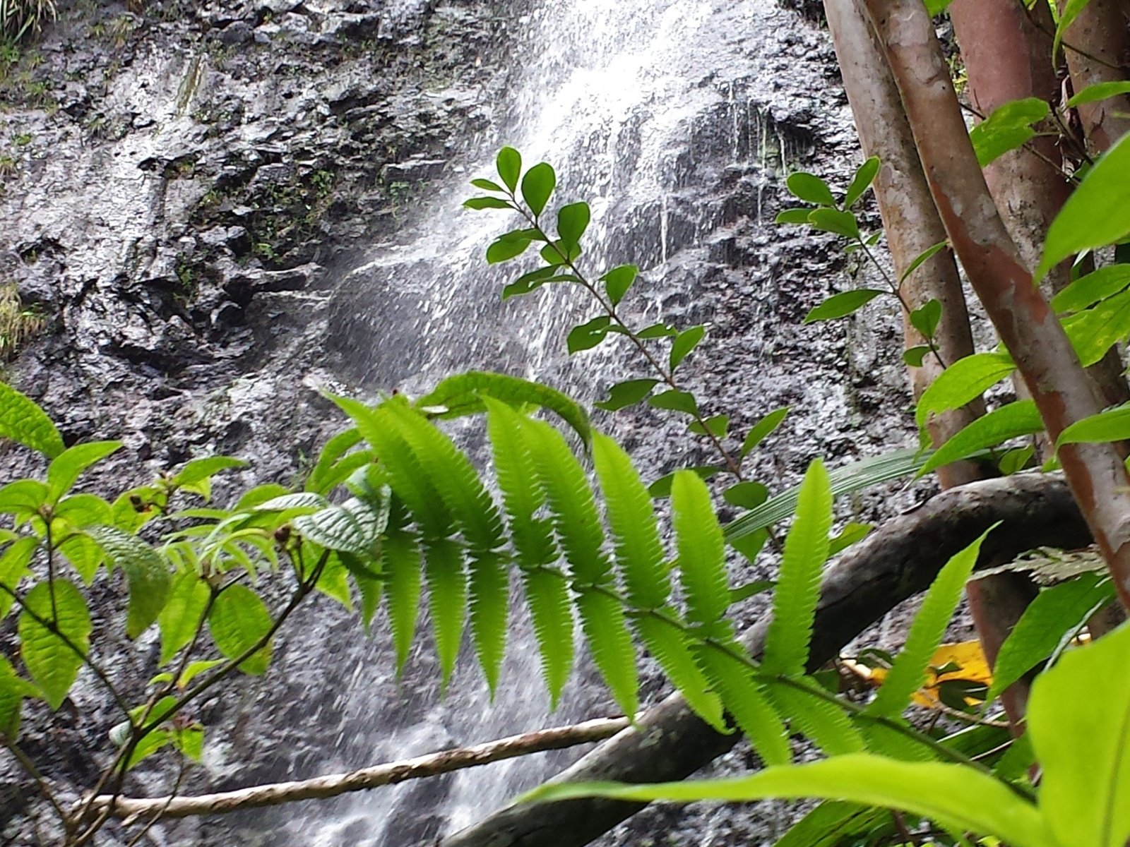 Обои водопад, waterfall разрешение 4128x2322 Загрузить