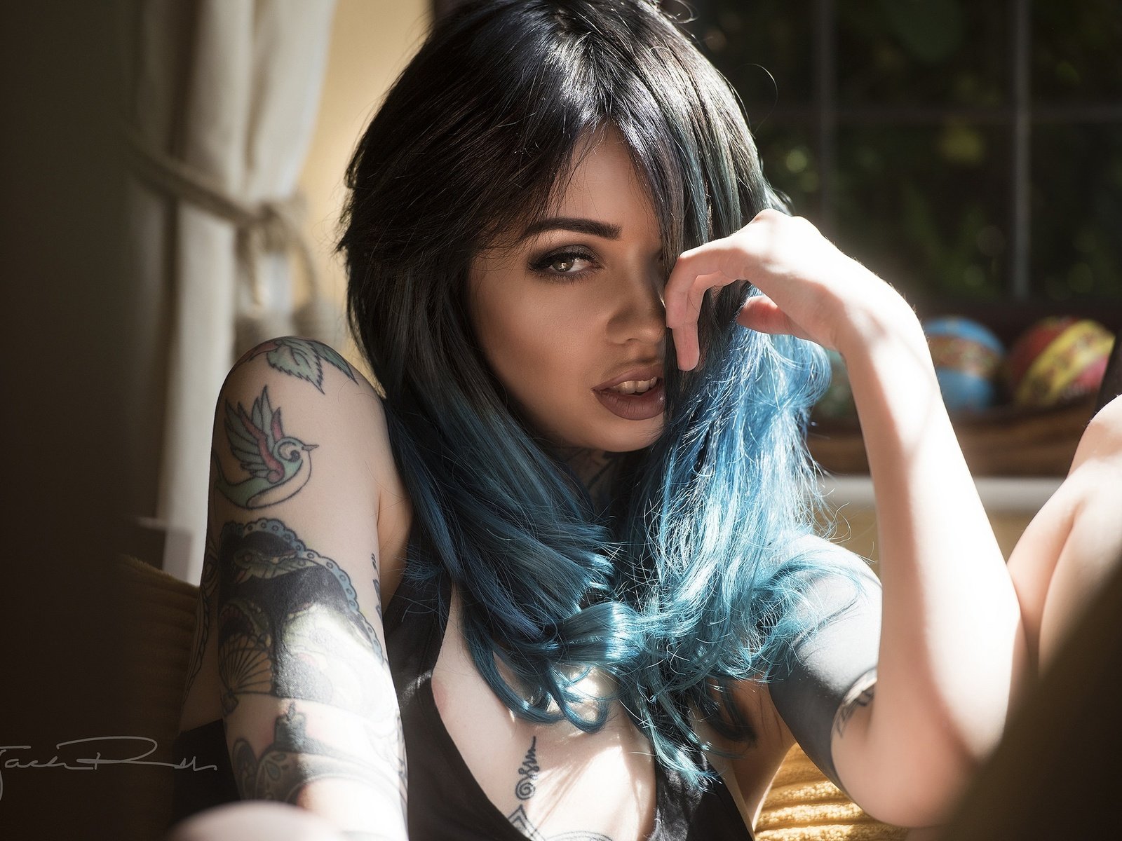 Обои взгляд, модель, тату, синие волосы, look, model, tattoo, blue hair разрешение 2048x1367 Загрузить