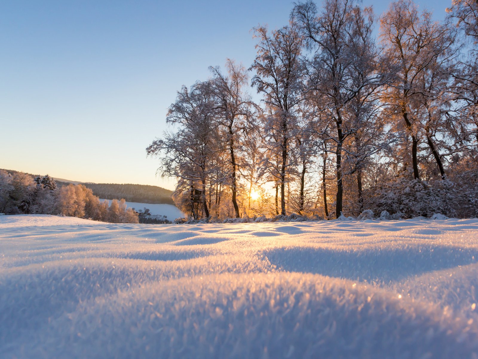 Обои деревья, снег, природа, зима, парк, солнечный свет, trees, snow, nature, winter, park, sunlight разрешение 1920x1200 Загрузить