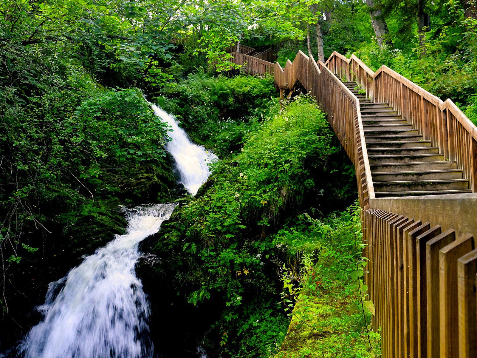 Обои лестница, водопад, поток, ущелье, норвегия, тронхейм, edoardo trabace, hiking in bymarka, ladder, waterfall, stream, gorge, norway, trondheim разрешение 1920x1200 Загрузить