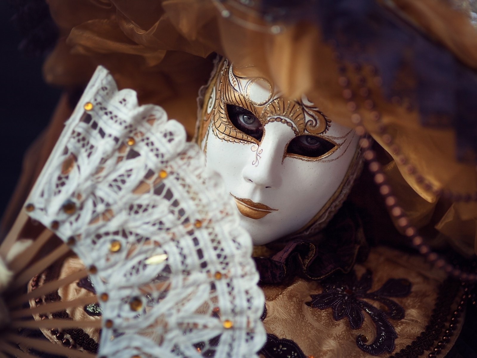 Обои маска, костюм, веер, карнавал, mask, costume, fan, carnival разрешение 1920x1250 Загрузить