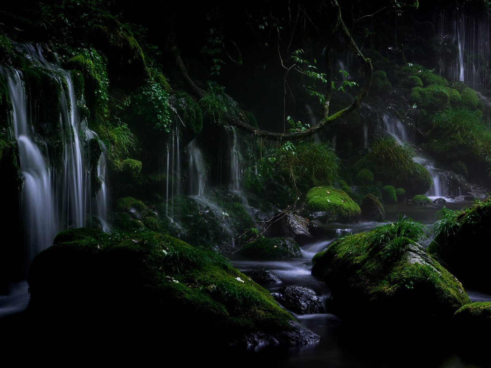 Обои вода, akihiro shibata, природа, камни, растения, листья, пейзаж, водопад, мох, water, nature, stones, plants, leaves, landscape, waterfall, moss разрешение 1920x1200 Загрузить