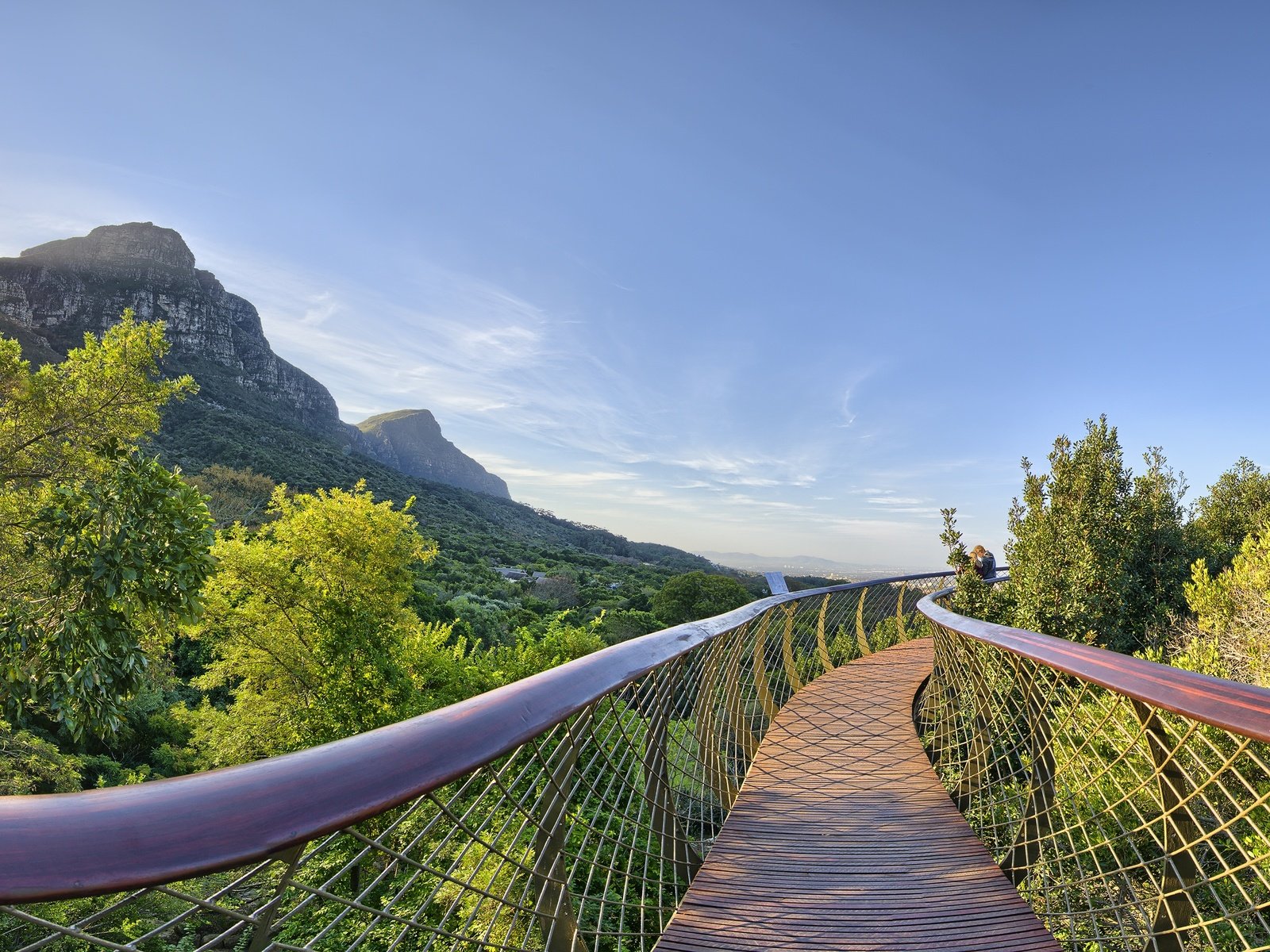 Обои небо, kirstenbosch national botanical garden, деревья, горы, природа, мост, солнечные лучи, кейптаун, южная африка, the sky, trees, mountains, nature, bridge, the sun's rays, cape town, south africa разрешение 4000x2036 Загрузить