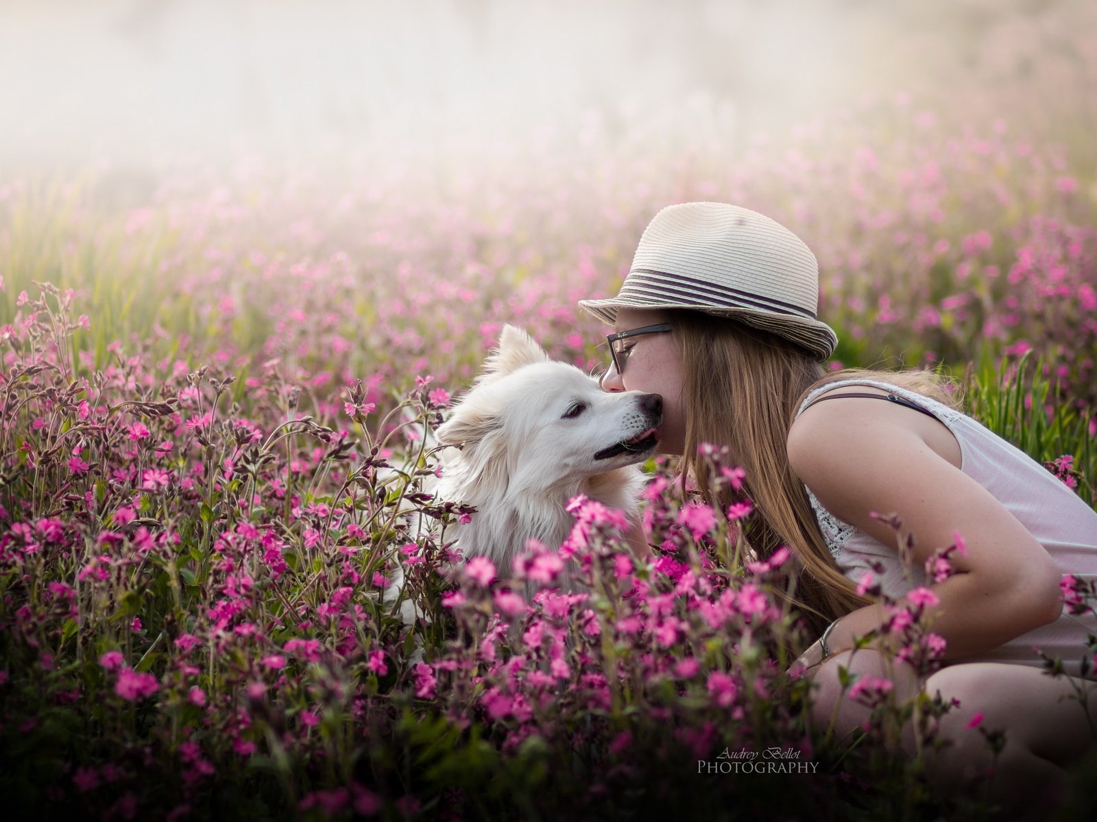 Обои цветы, девушка, собака, весна, flowers, girl, dog, spring разрешение 2560x1582 Загрузить