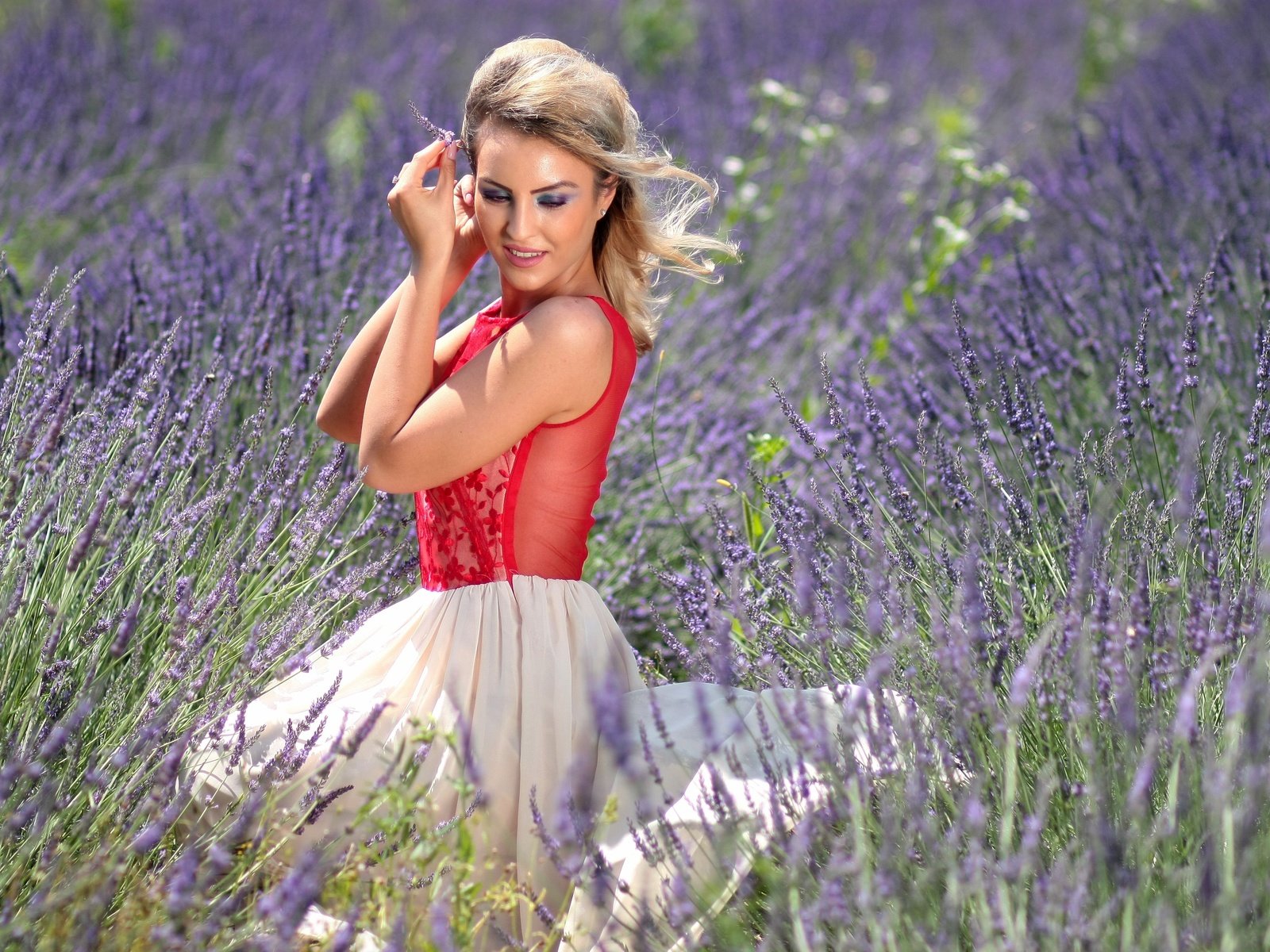 Обои цветы, природа, девушка, платье, блондинка, лаванда, красота, flowers, nature, girl, dress, blonde, lavender, beauty разрешение 4272x2848 Загрузить