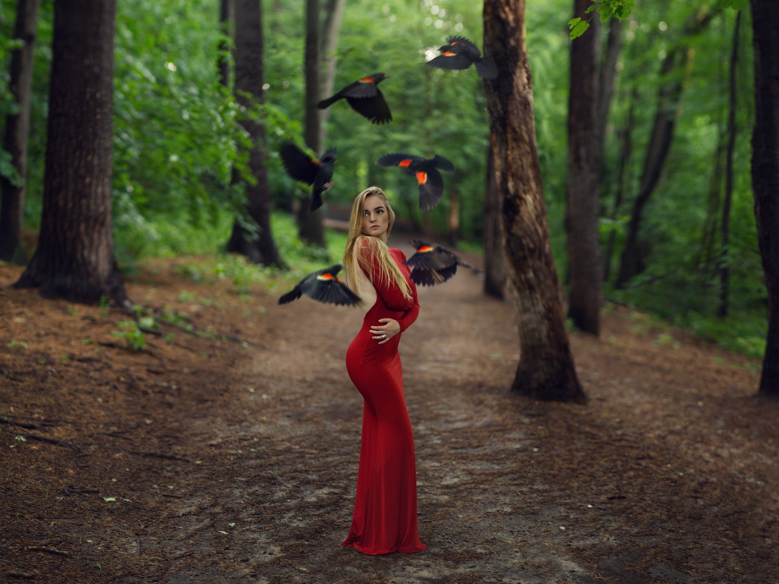 Обои деревья, лес, девушка, блондинка, птицы, креатив, красное платье, длинные волосы, trees, forest, girl, blonde, birds, creative, red dress, long hair разрешение 7680x4320 Загрузить