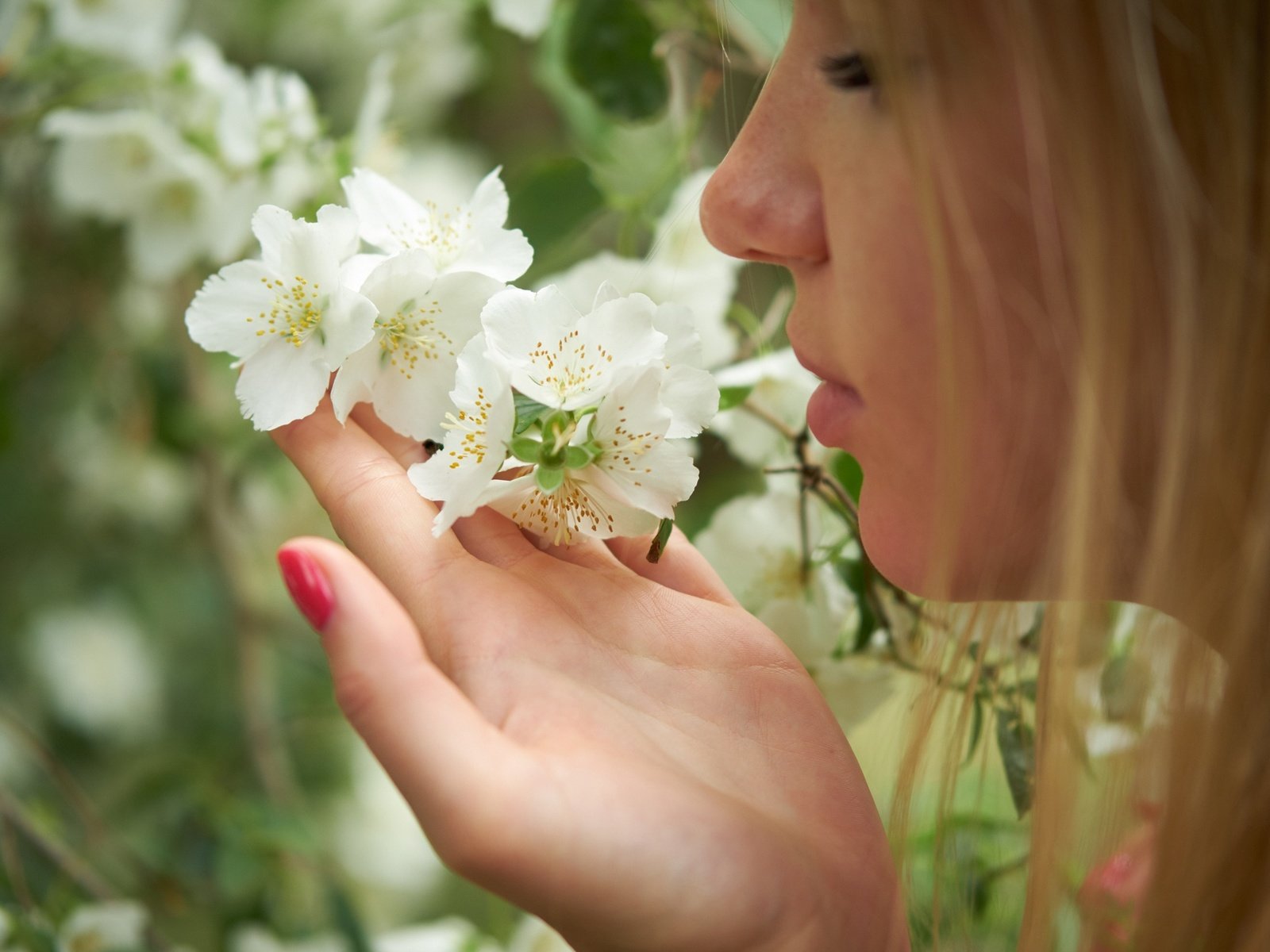 Обои лето, лепестки, волосы, губы, лицо, маша, summer, petals, hair, lips, face, masha разрешение 2000x1333 Загрузить