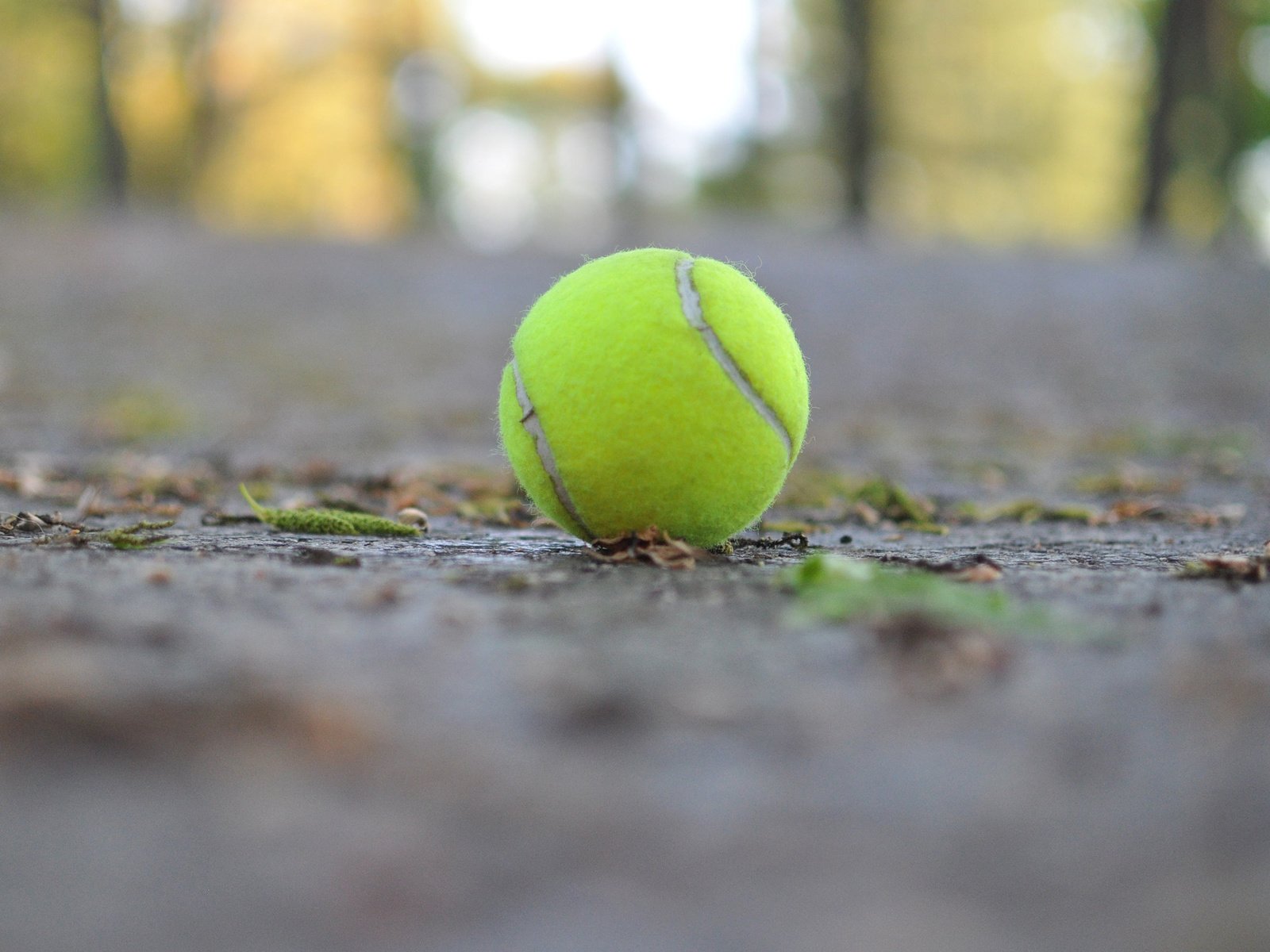 Обои макро, мяч, теннис, теннисный мяч, macro, the ball, tennis, tennis ball разрешение 2880x1800 Загрузить