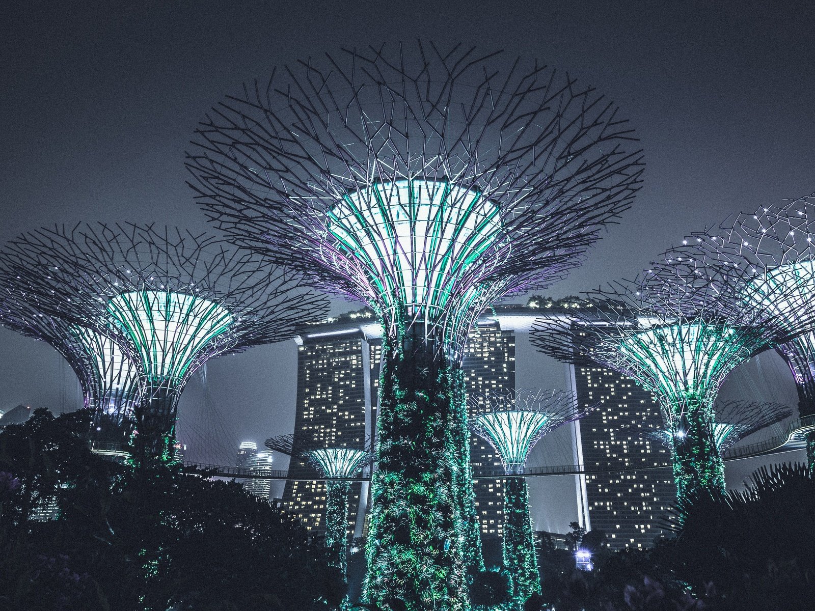 Обои ночь, подсветка, архитектура, сингапур, night, backlight, architecture, singapore разрешение 4962x3308 Загрузить