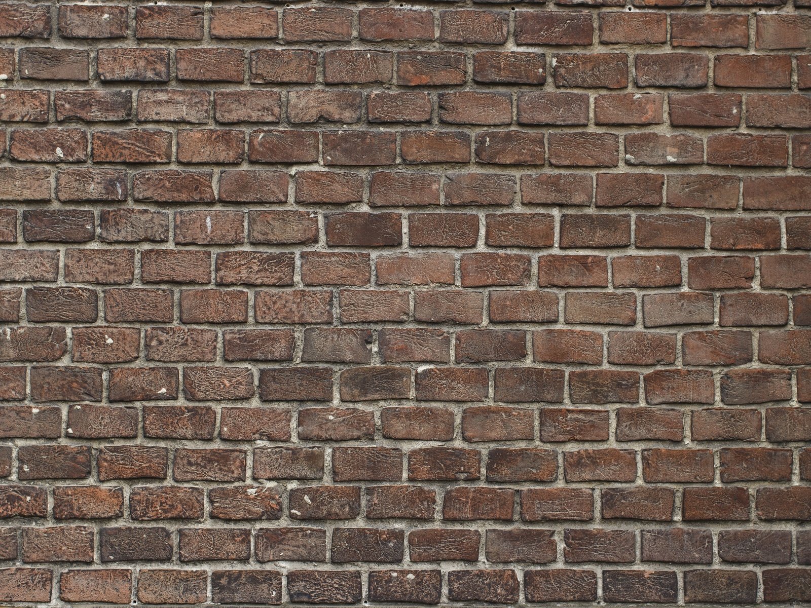 Обои стена, здание, кирпич, кирпичи, кирпичная стена, зодчество, wall, the building, brick, bricks, brick wall, architecture разрешение 5184x3456 Загрузить