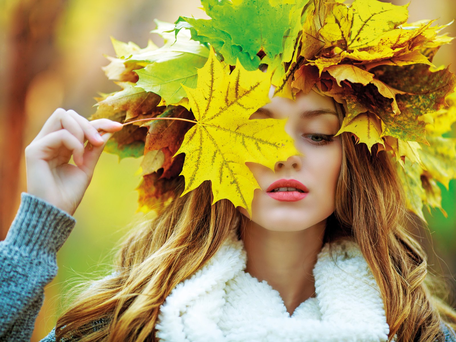 Обои листья, девушка, портрет, взгляд, осень, волосы, лицо, leaves, girl, portrait, look, autumn, hair, face разрешение 5760x3840 Загрузить