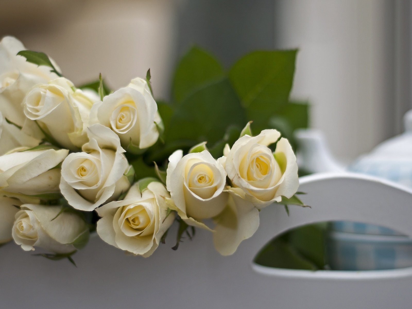 Обои цветы, бутоны, розы, лепестки, букет, белые, flowers, buds, roses, petals, bouquet, white разрешение 4288x2848 Загрузить