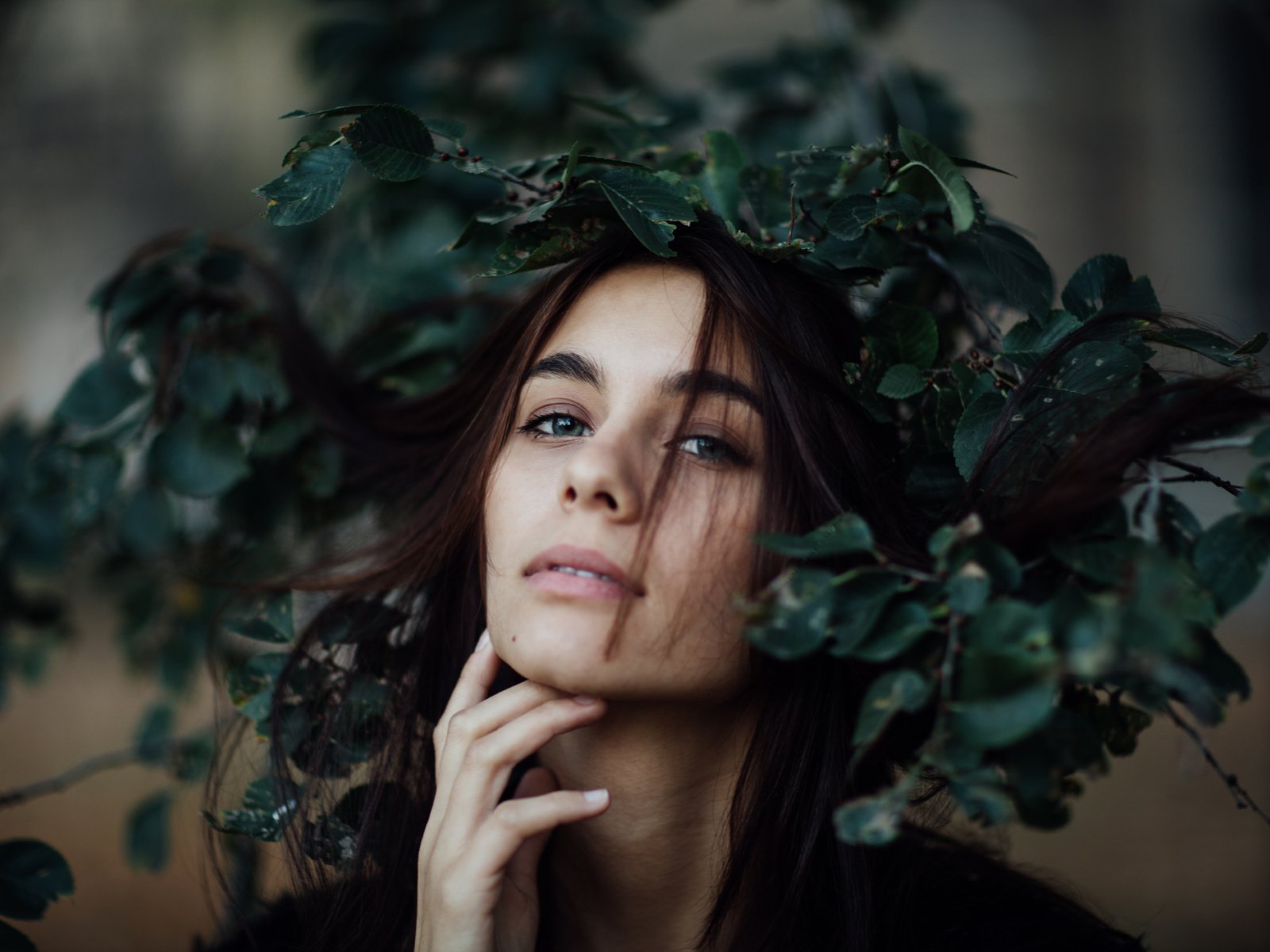 Обои листья, девушка, взгляд, модель, венок, эшли, jesse herzog, leaves, girl, look, model, wreath, ashley разрешение 8688x5792 Загрузить