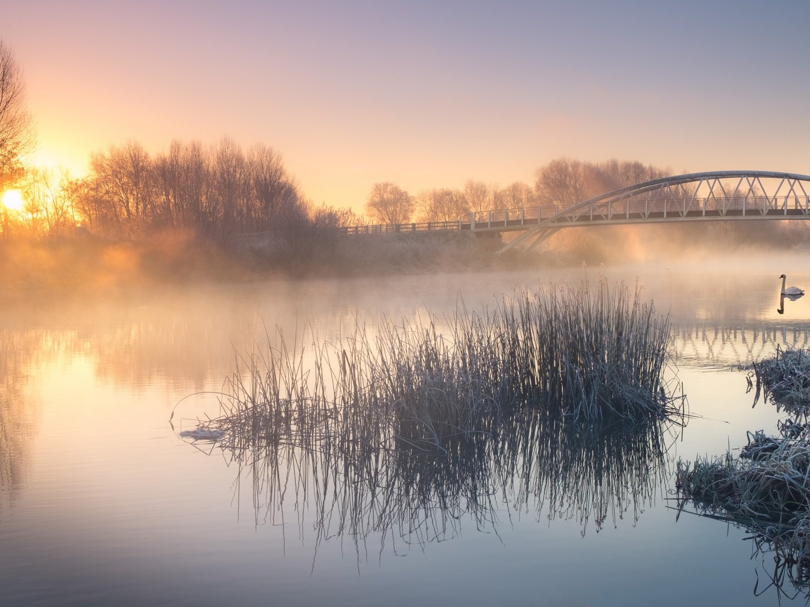 Обои река, природа, пейзаж, утро, туман, мост, птица, лебедь, river, nature, landscape, morning, fog, bridge, bird, swan разрешение 2880x1800 Загрузить