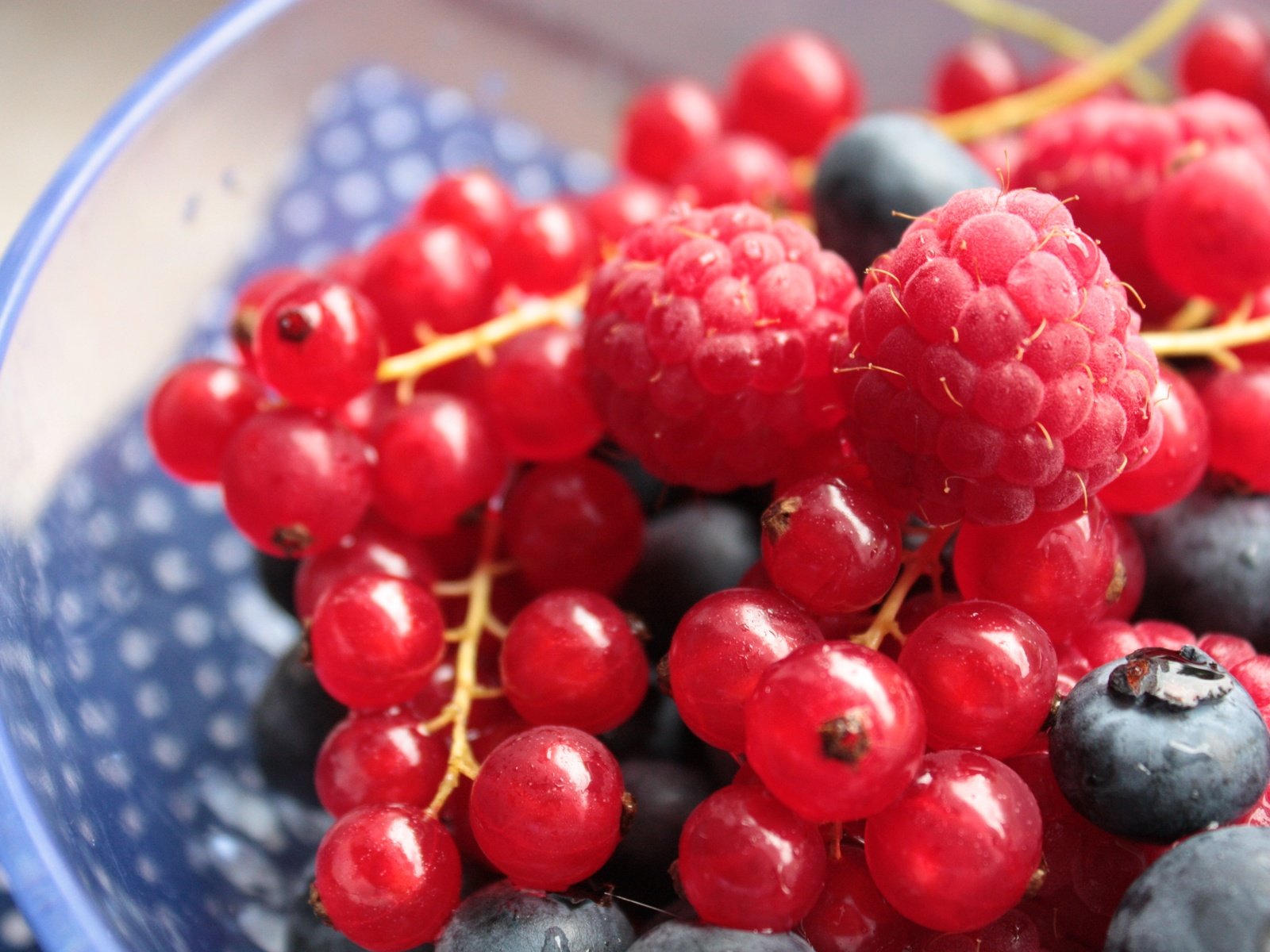 Обои малина, ягоды, черника, красная смородина, смородина, raspberry, berries, blueberries, red currant, currants разрешение 4272x2848 Загрузить