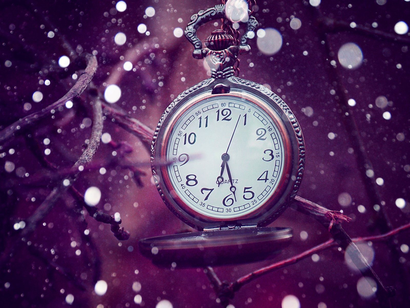 Обои фон, ветки, часы, время, боке, карманные часы, background, branches, watch, time, bokeh, pocket watch разрешение 1920x1200 Загрузить