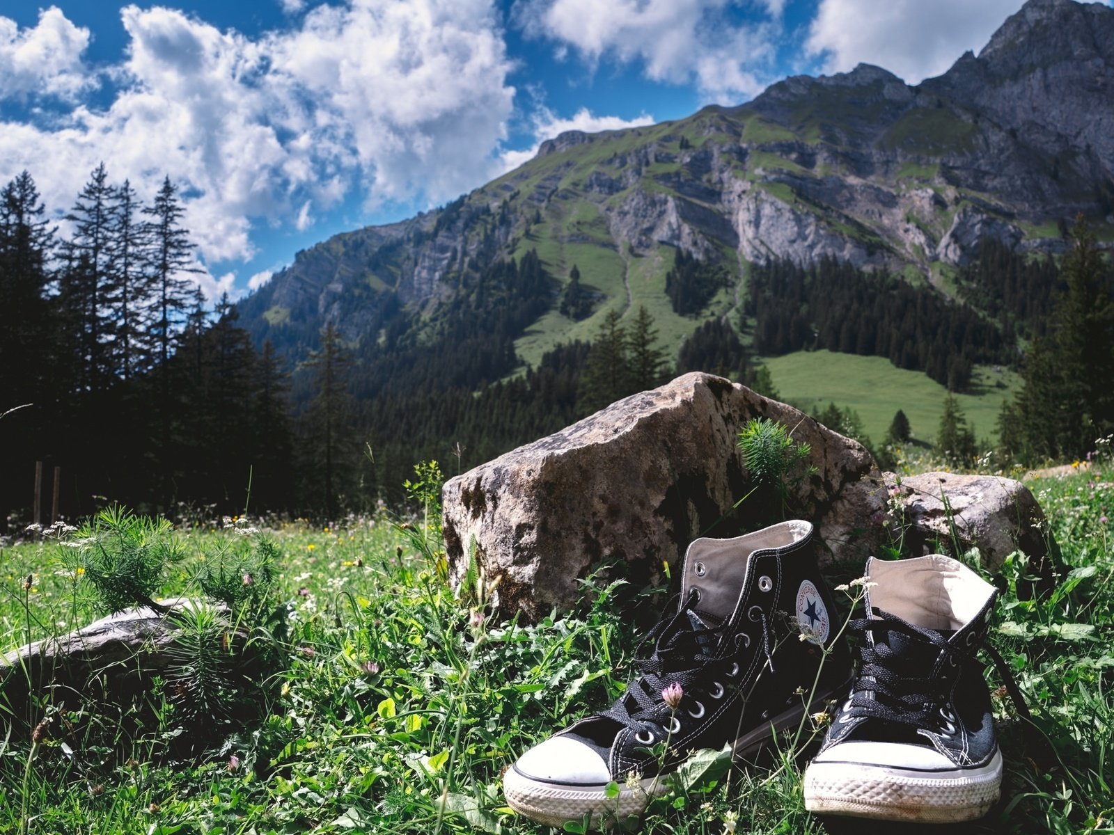 Обои небо, трава, облака, деревья, горы, кеды, камень, the sky, grass, clouds, trees, mountains, sneakers, stone разрешение 2048x1298 Загрузить