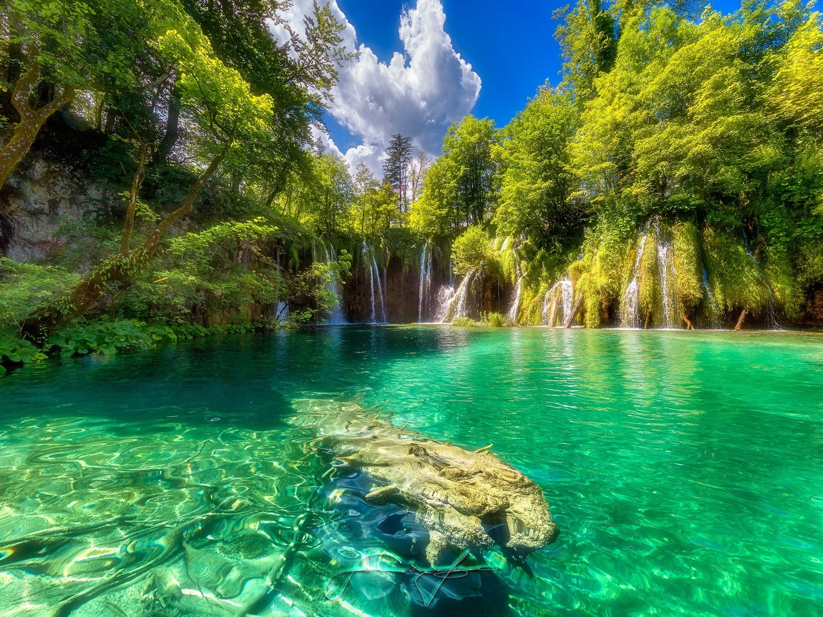 Обои небо, хорватия, облака, плитвицкие озёра, деревья, plitvice lakes national park, озеро, солнце, зелень, лес, водопад, the sky, croatia, clouds, plitvice lakes, trees, lake, the sun, greens, forest, waterfall разрешение 2500x1667 Загрузить