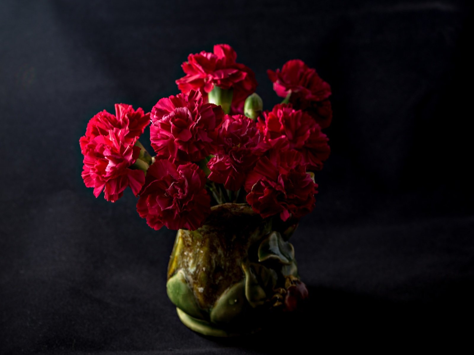Обои темный фон, букет, гвоздики, the dark background, bouquet, clove разрешение 2048x1365 Загрузить
