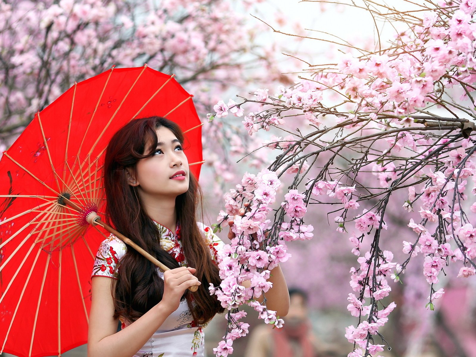 Япония девушки молодая. Японская девушка. Японская девушка с зонтом. Девушка с японским зонтиком. Китаянка с зонтиком.