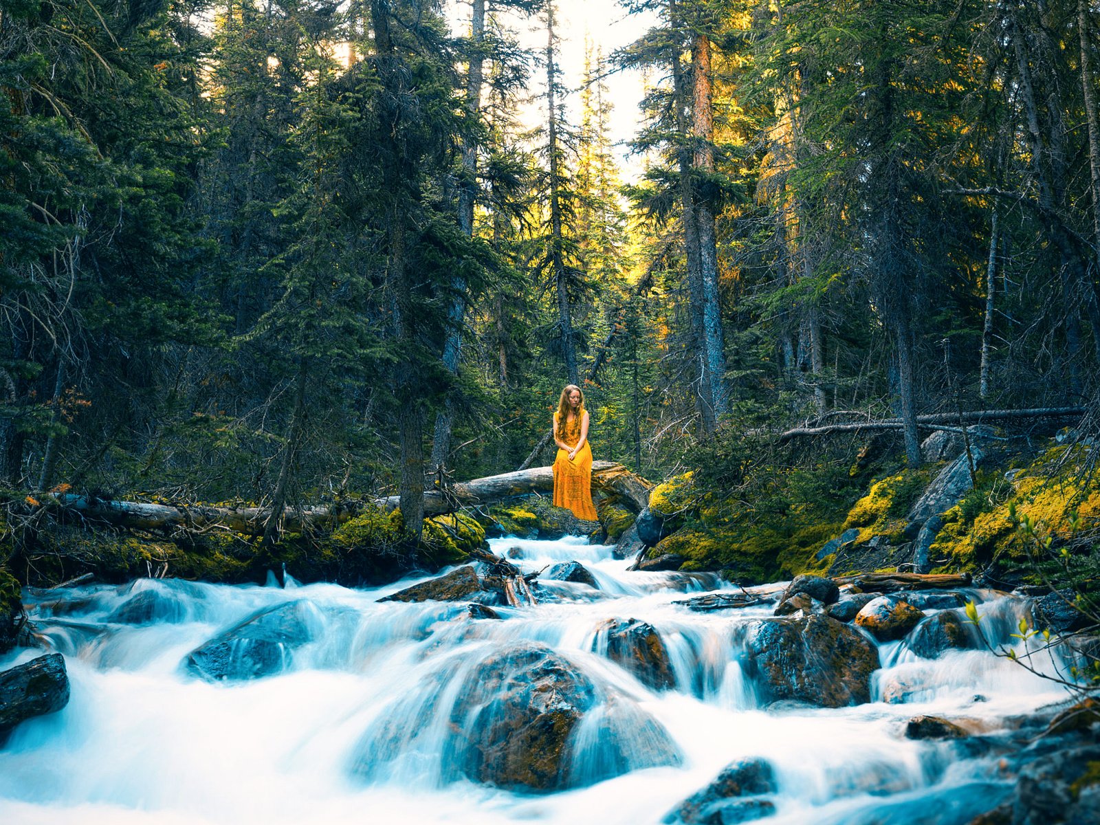 Обои деревья, река, камни, лес, девушка, платье, поток, lizzy gadd, trees, river, stones, forest, girl, dress, stream разрешение 2000x1396 Загрузить