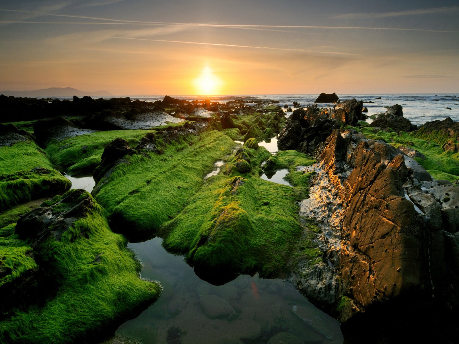 Обои небо, скалы, солнце, камни, море, побережье, водоросли, the sky, rocks, the sun, stones, sea, coast, algae разрешение 2560x1700 Загрузить