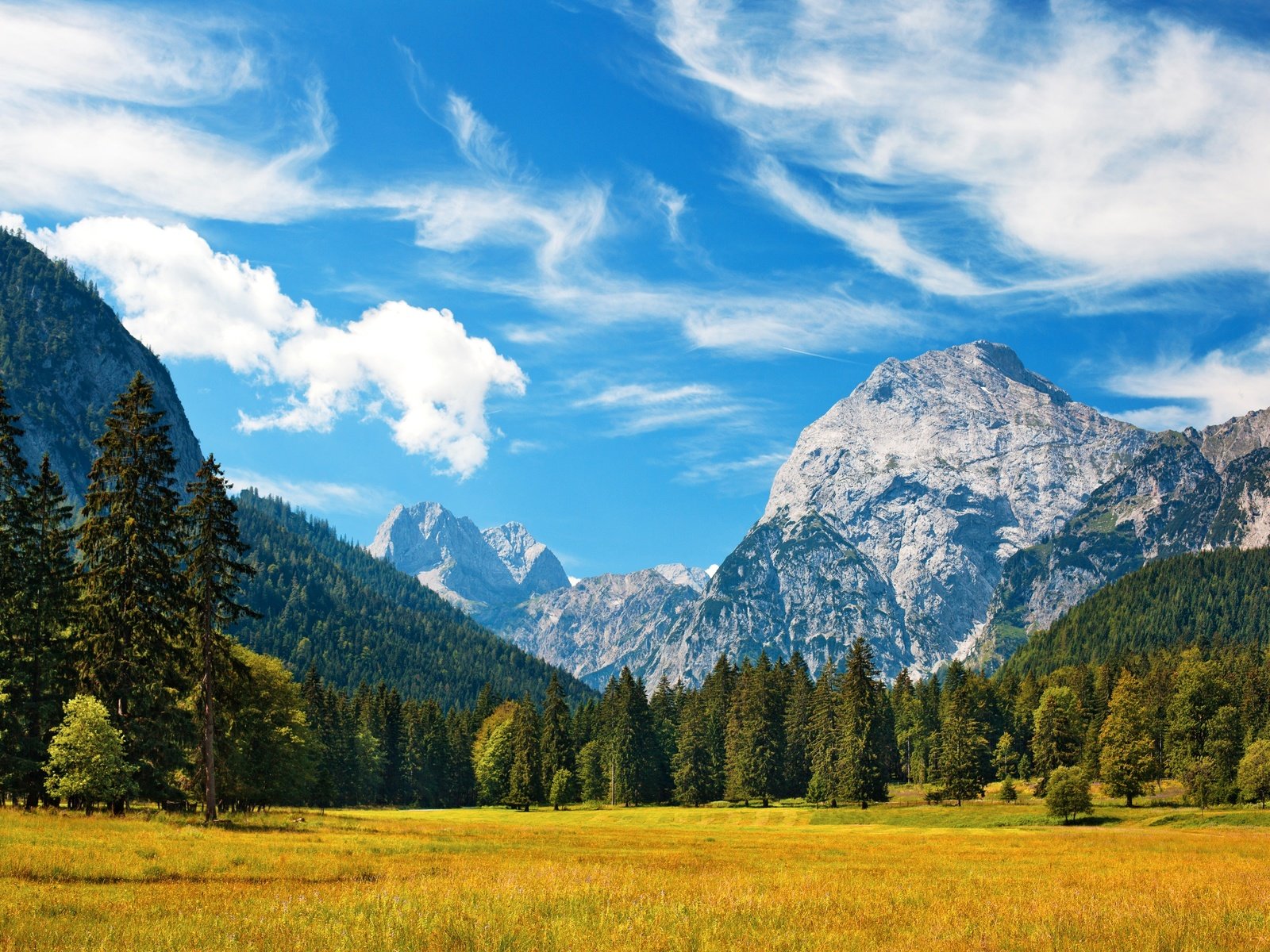 Обои небо, трава, облака, деревья, горы, поле, баварские альпы, the sky, grass, clouds, trees, mountains, field, the bavarian alps разрешение 4100x2733 Загрузить