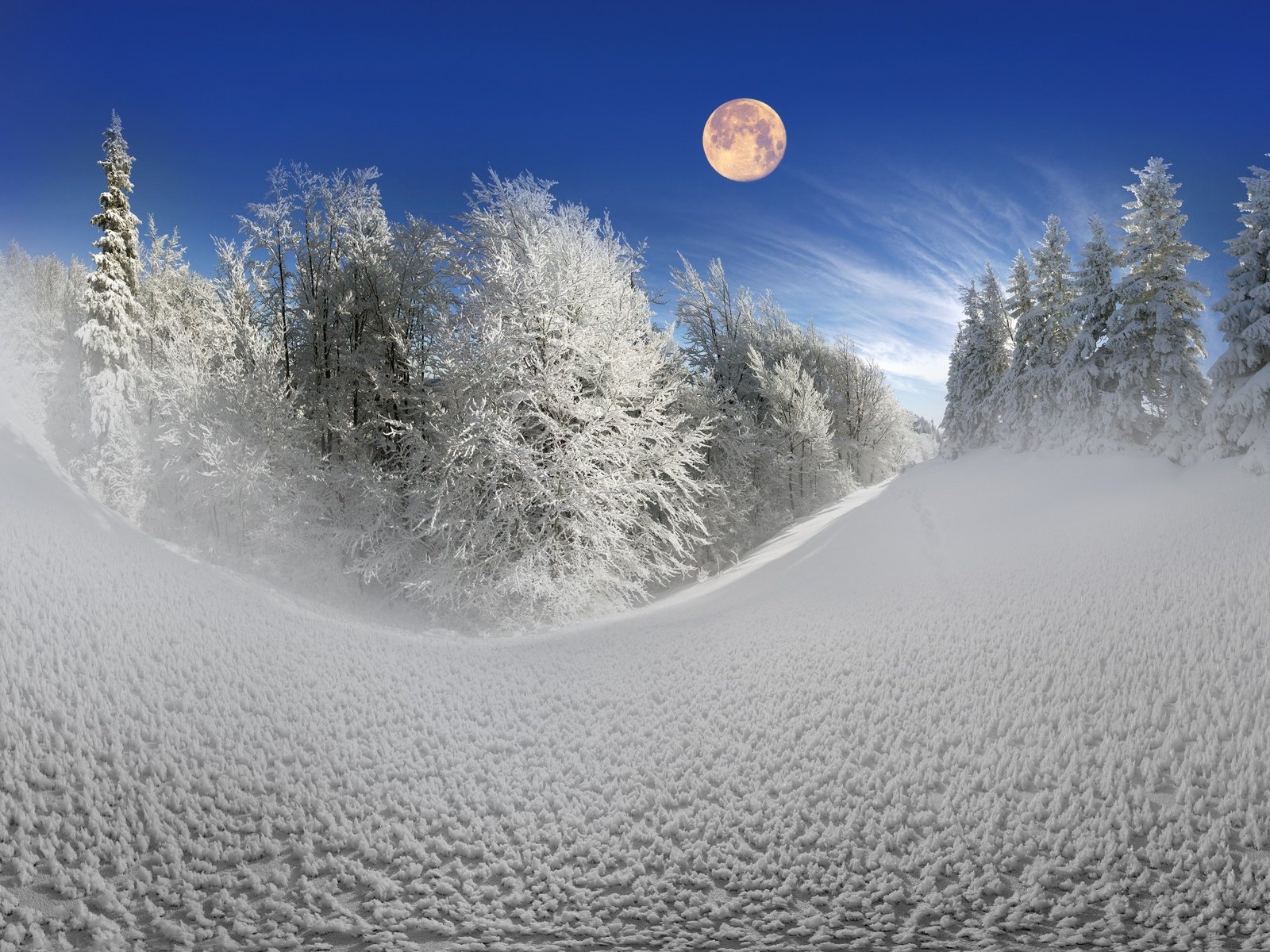 Обои небо, деревья, снег, природа, лес, зима, луна, сугробы, the sky, trees, snow, nature, forest, winter, the moon, the snow разрешение 2880x1800 Загрузить