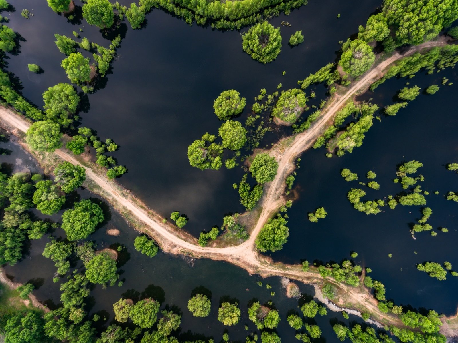 Обои дорога, деревья, вода, пейзаж, вид сверху, сша, аризона, прескотт, road, trees, water, landscape, the view from the top, usa, az, prescott разрешение 2048x1535 Загрузить