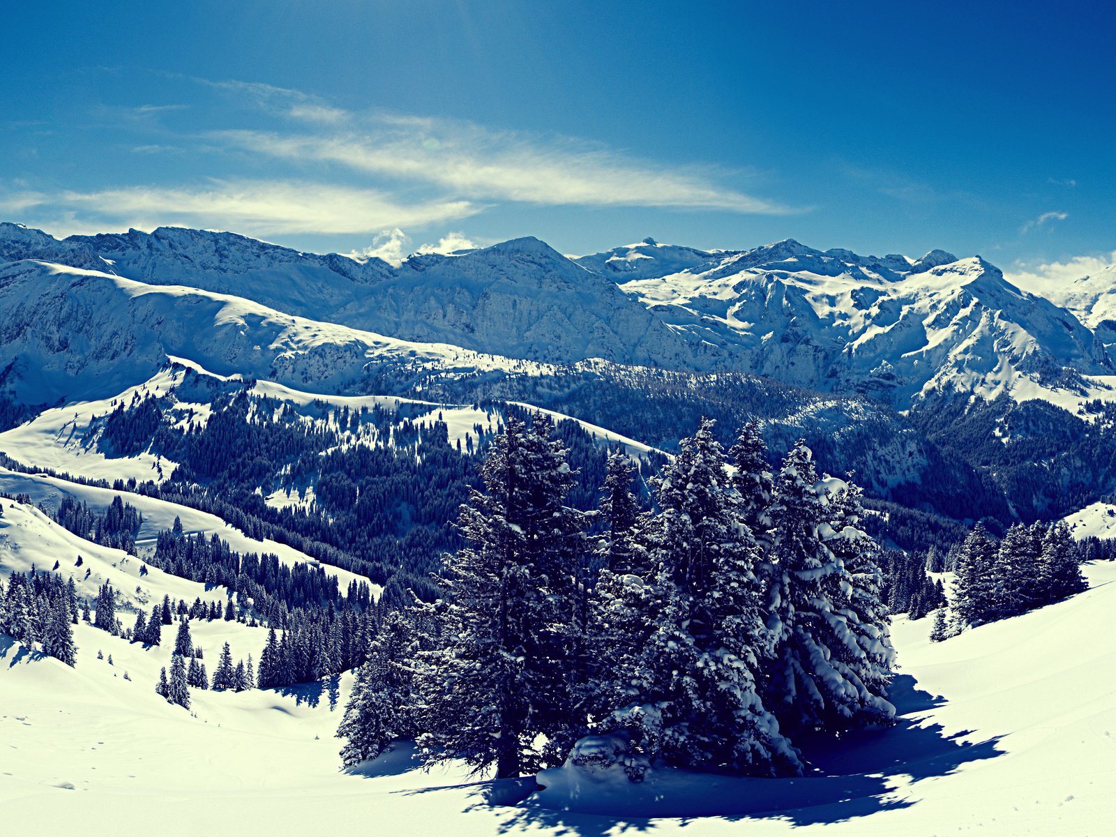 Обои небо, деревья, горы, снег, лес, зима, снежные вершины, the sky, trees, mountains, snow, forest, winter, snowy peaks разрешение 3571x2678 Загрузить