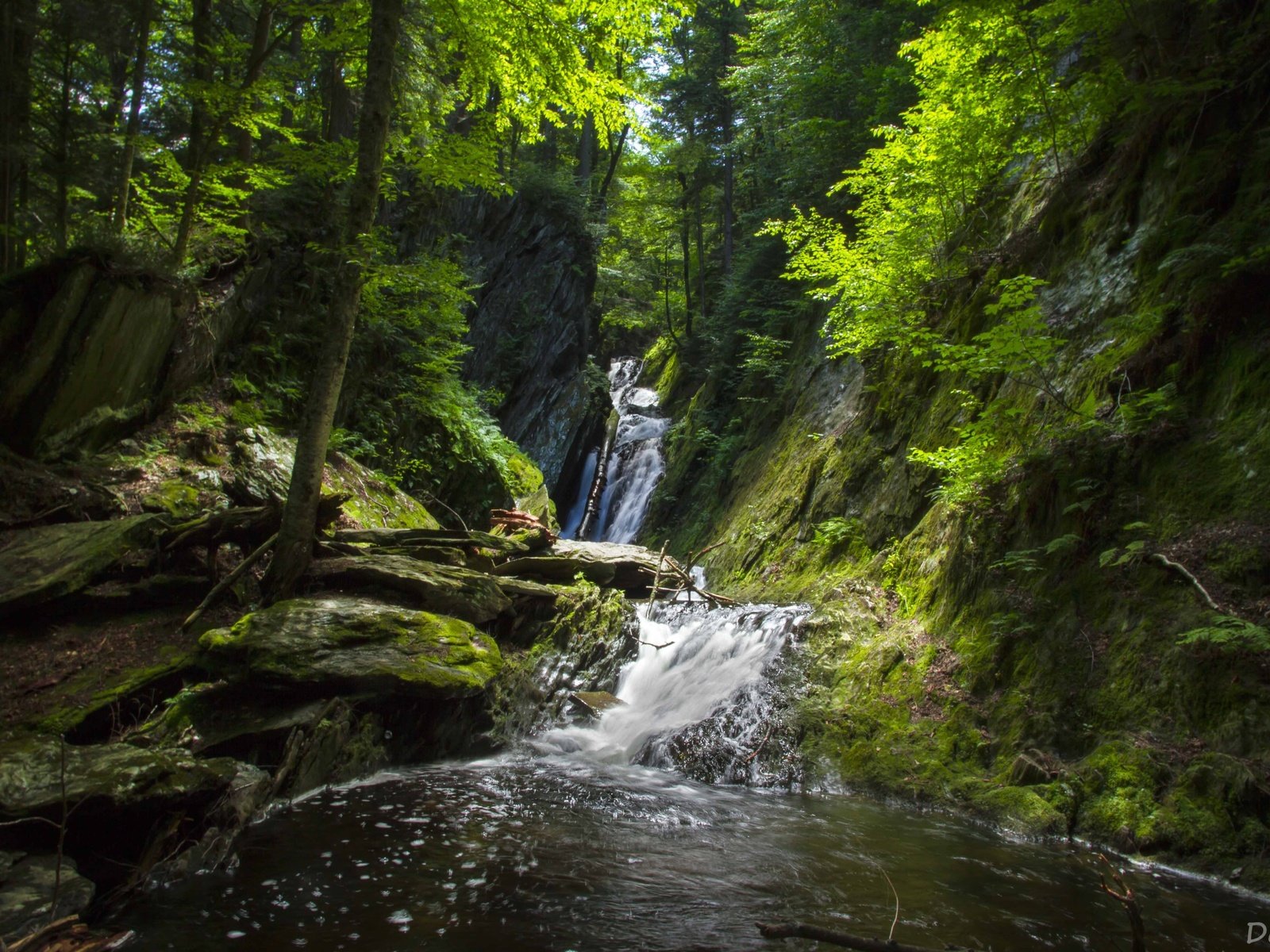 Обои деревья, вода, скалы, камни, лес, водопад, trees, water, rocks, stones, forest, waterfall разрешение 3600x2400 Загрузить