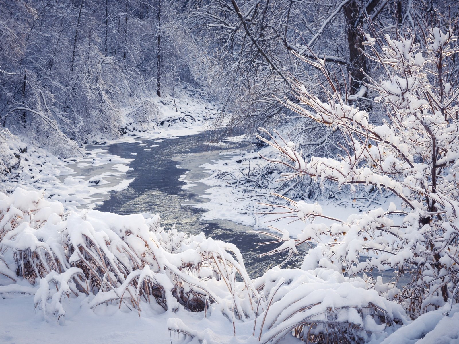 Обои деревья, река, снег, природа, лес, зима, пейзаж, trees, river, snow, nature, forest, winter, landscape разрешение 2880x1800 Загрузить