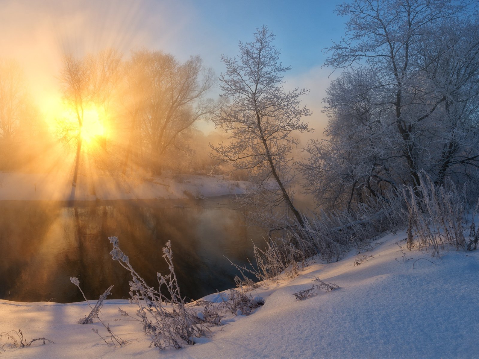 Обои солнце, снег, природа, лес, зима, утро, zhmak evgeniy, the sun, snow, nature, forest, winter, morning разрешение 1920x1200 Загрузить