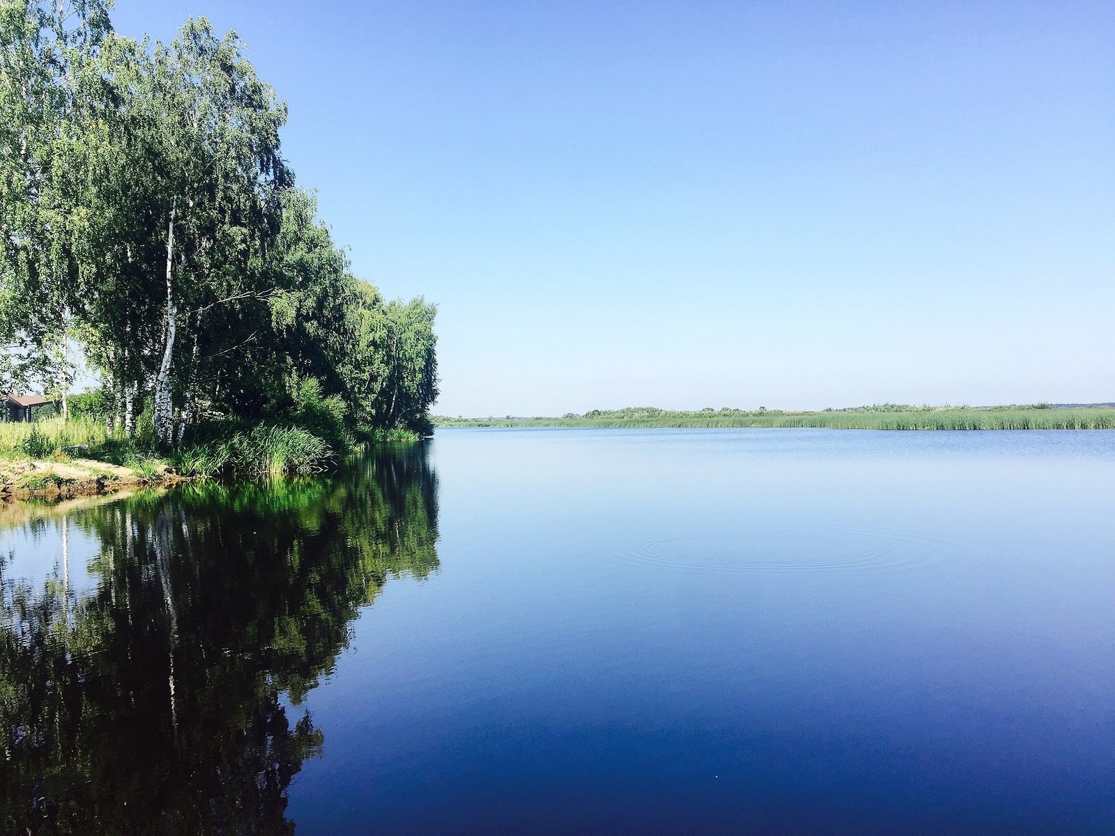 Обои небо, деревья, река, природа, отражение, березы, aristovart, the sky, trees, river, nature, reflection, birch разрешение 3264x2448 Загрузить