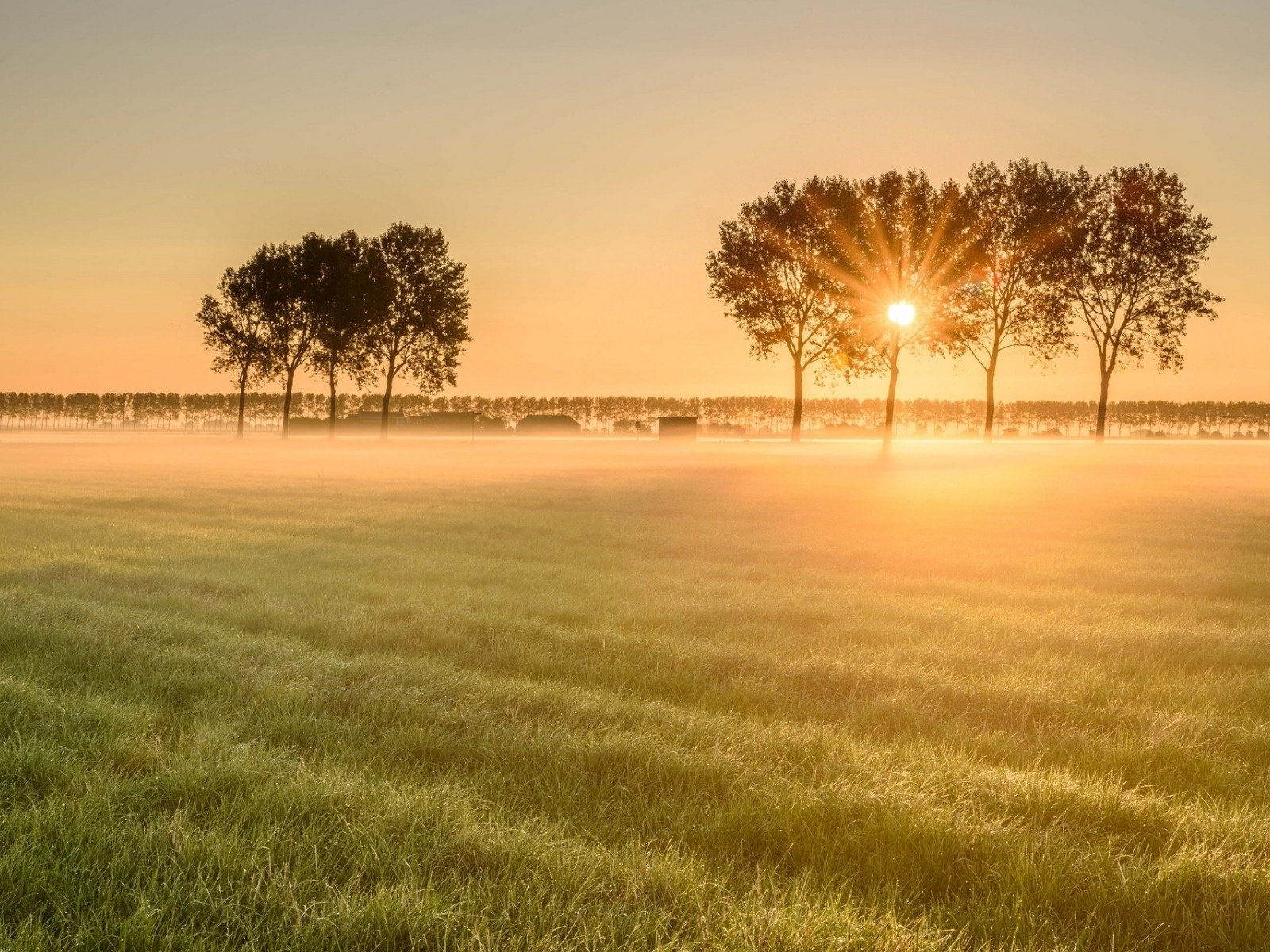 Обои пейзаж, утро, туман, поле, рассвет, landscape, morning, fog, field, dawn разрешение 1920x1200 Загрузить