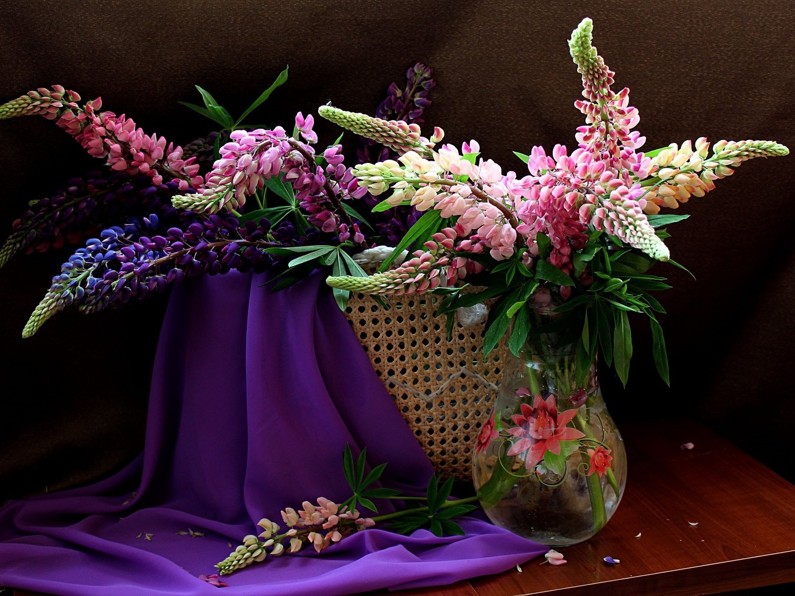 Обои цветы, лето, букет, натюрморт, люпины, flowers, summer, bouquet, still life, lupins разрешение 2000x1350 Загрузить