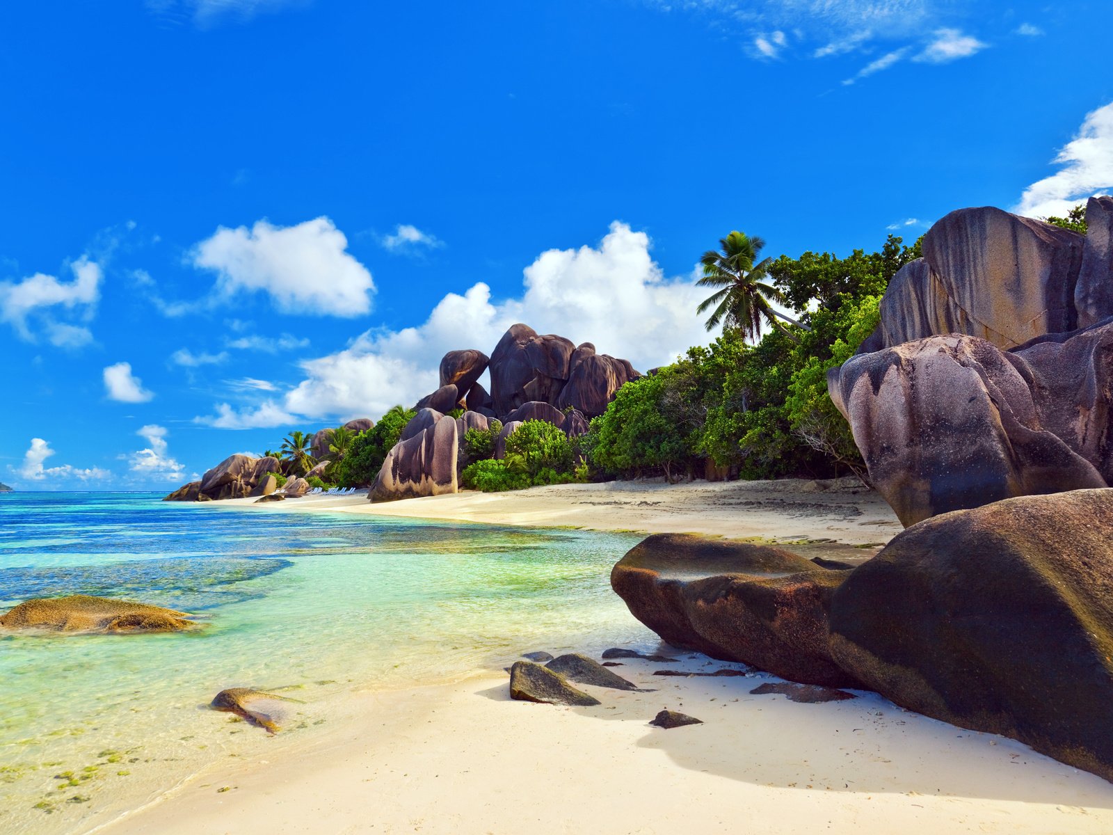 Обои море, пляж, тропики, сейшелы, sea, beach, tropics, seychelles разрешение 4246x2827 Загрузить