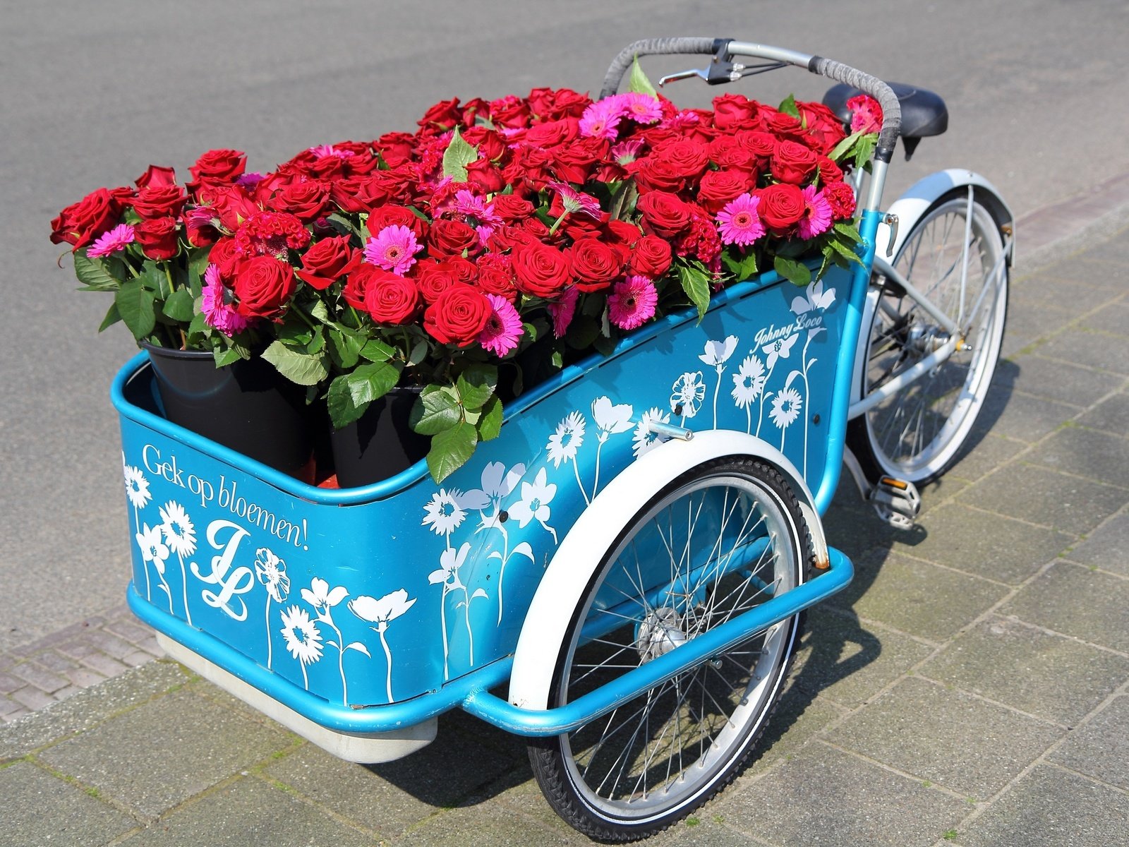 Обои цветы, розы, герберы, велосипед, flowers, roses, gerbera, bike разрешение 2500x1667 Загрузить